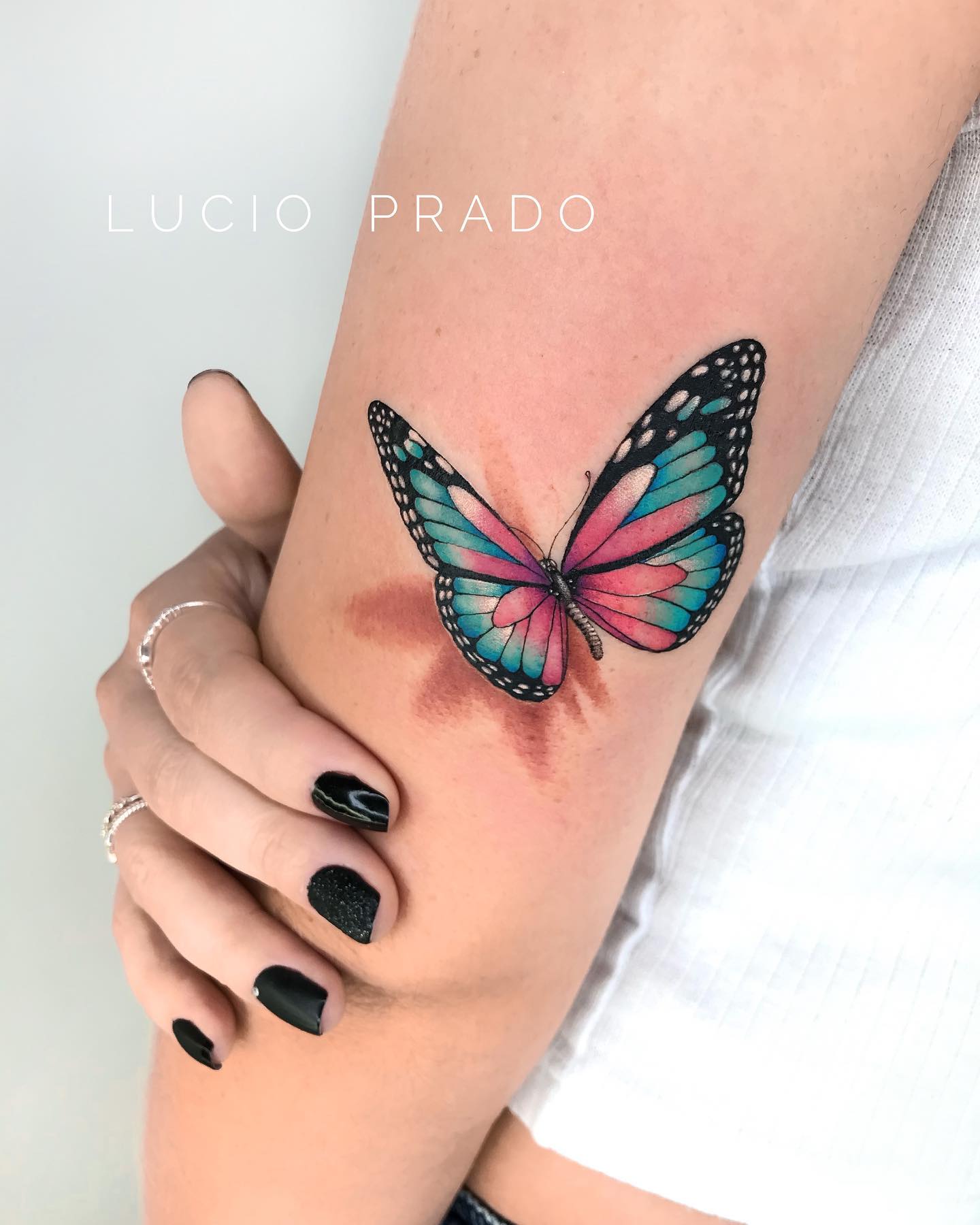Mariposa Tatuaje Estampado