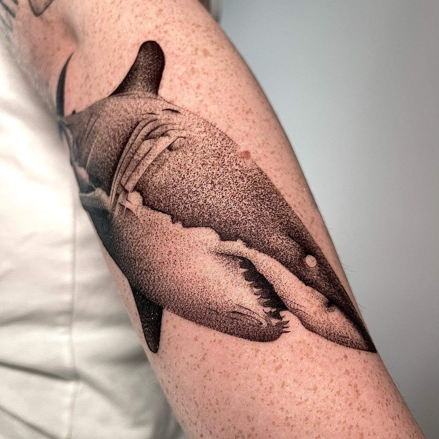 Tatuaje de tiburón estilo dotwork