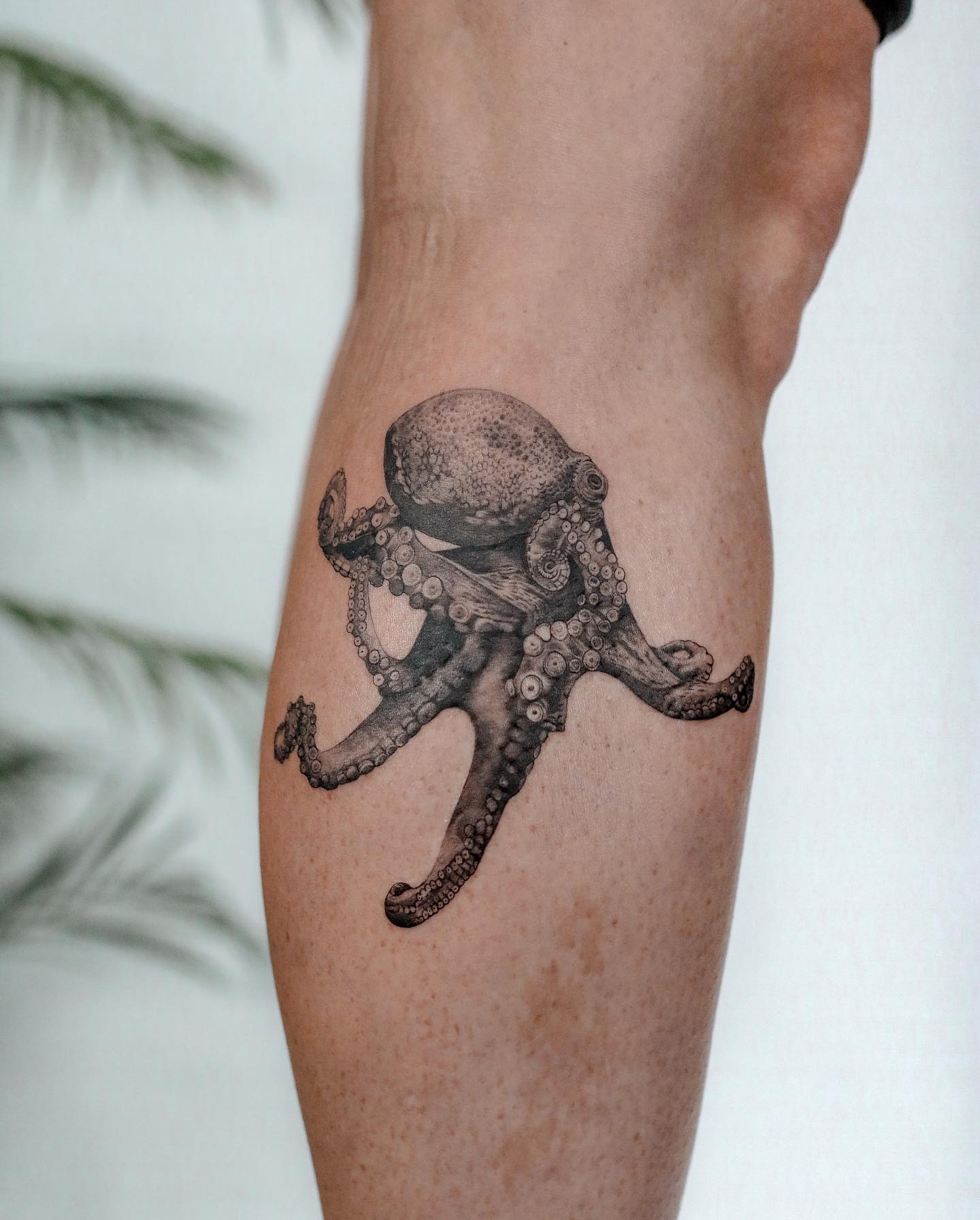 Tatuaje de becerro Estampado de pulpo