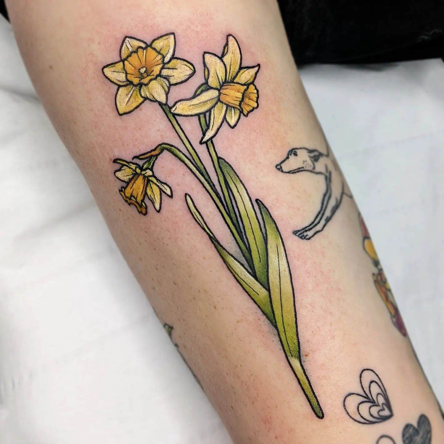 Tatuaje de Narciso Amarillo