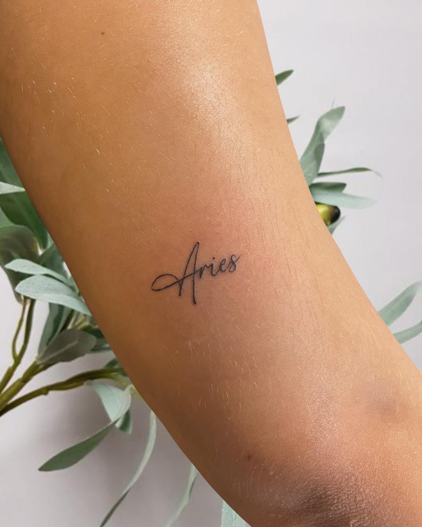 Idea de tatuaje de palabra Aries