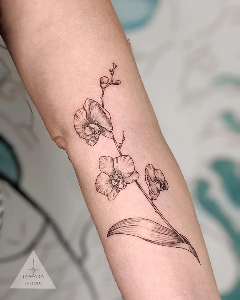 Pequeño y minimalista tatuaje de orquídea