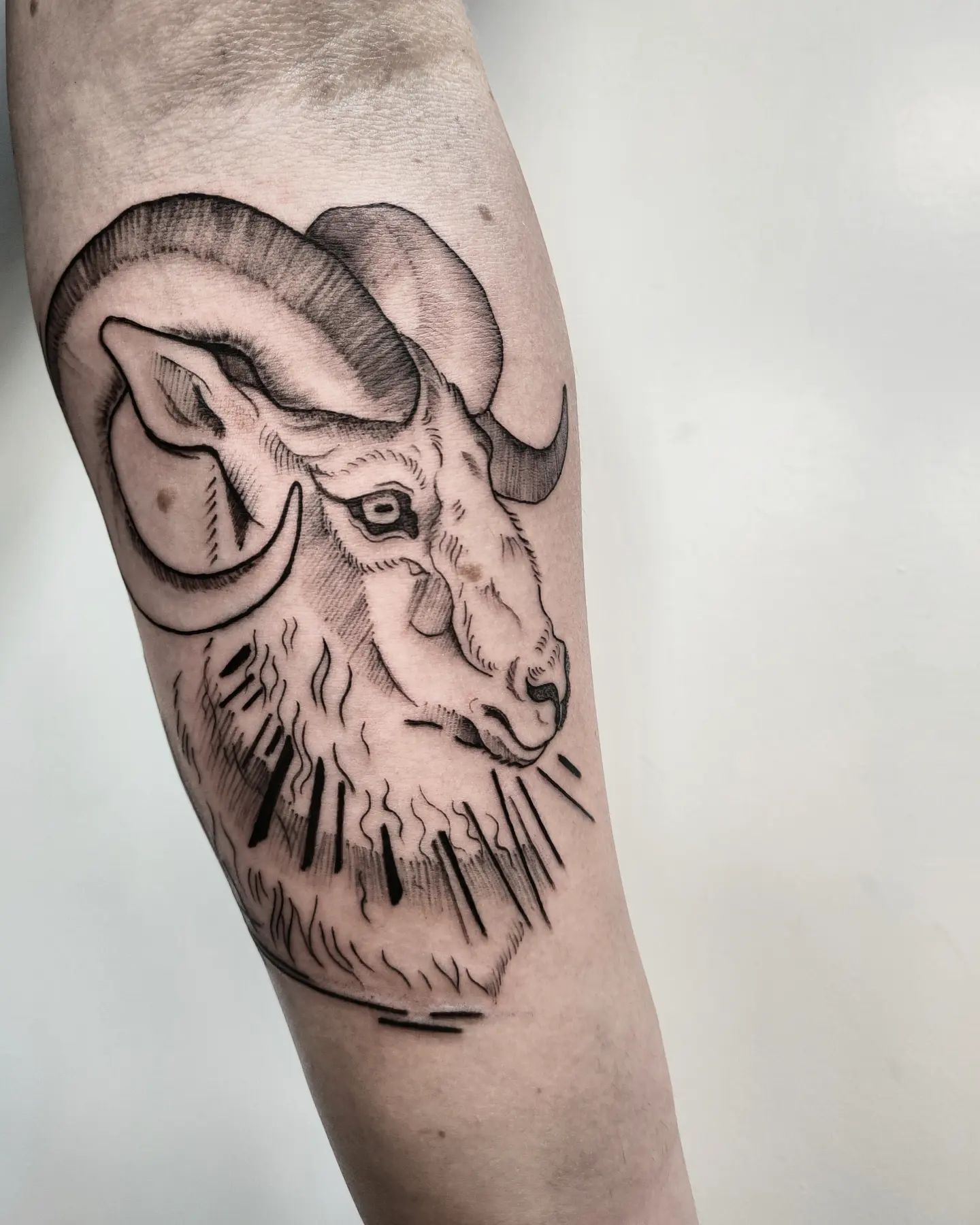 Tatuaje de Aries para hombres