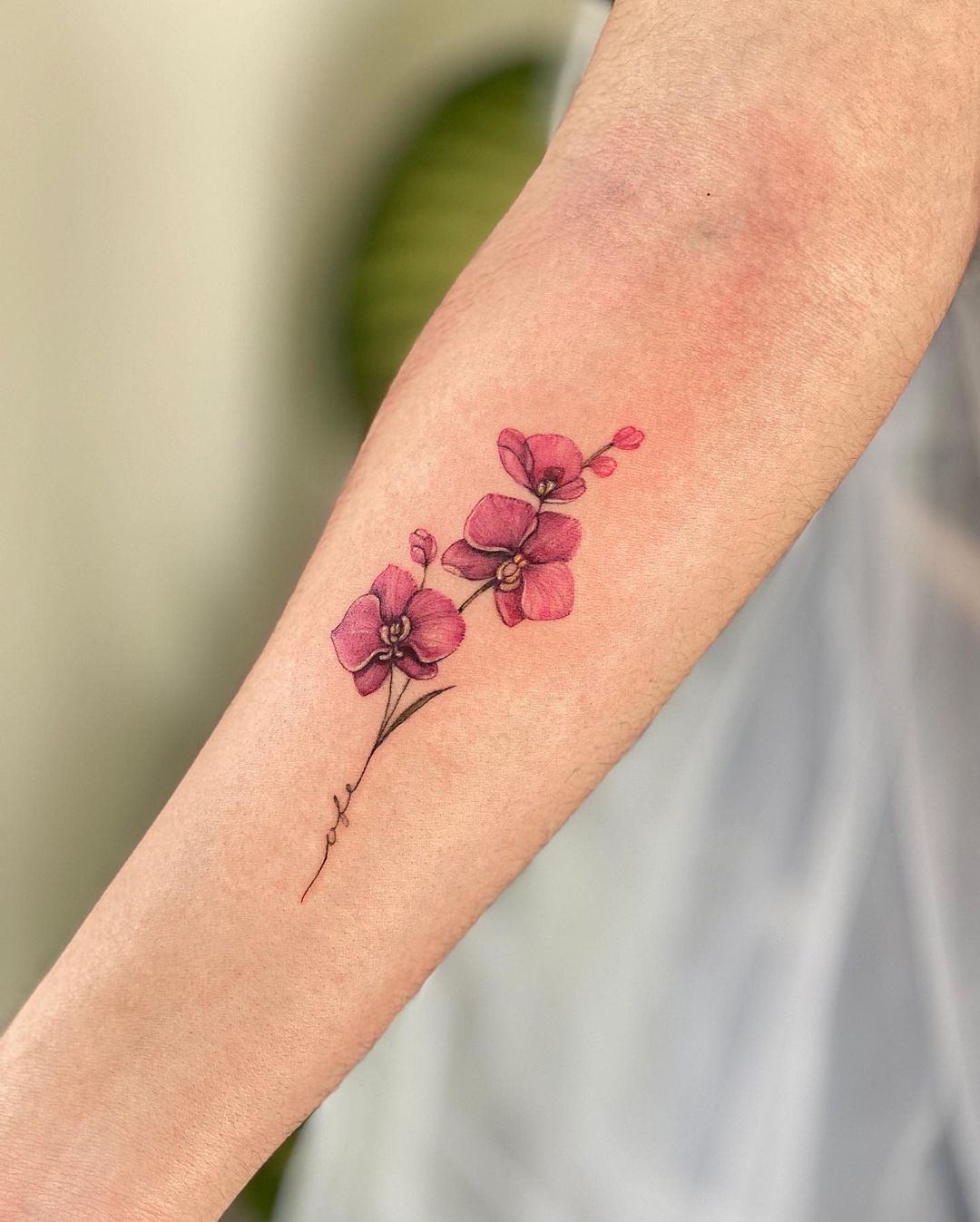 Tatuaje de orquídea rosa