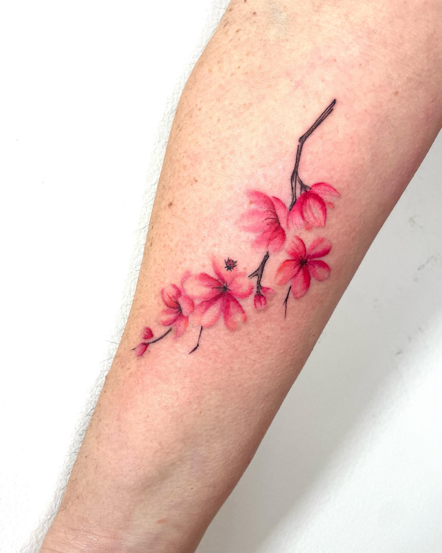 Divertido Tatuaje Femenino de Flor de Cerezo