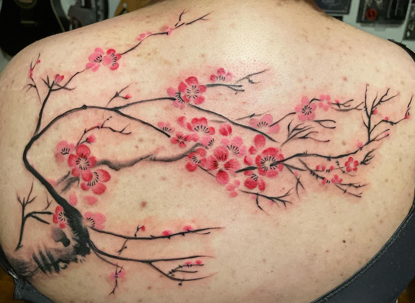 Tatuaje de flor de cerezo en la espalda.
