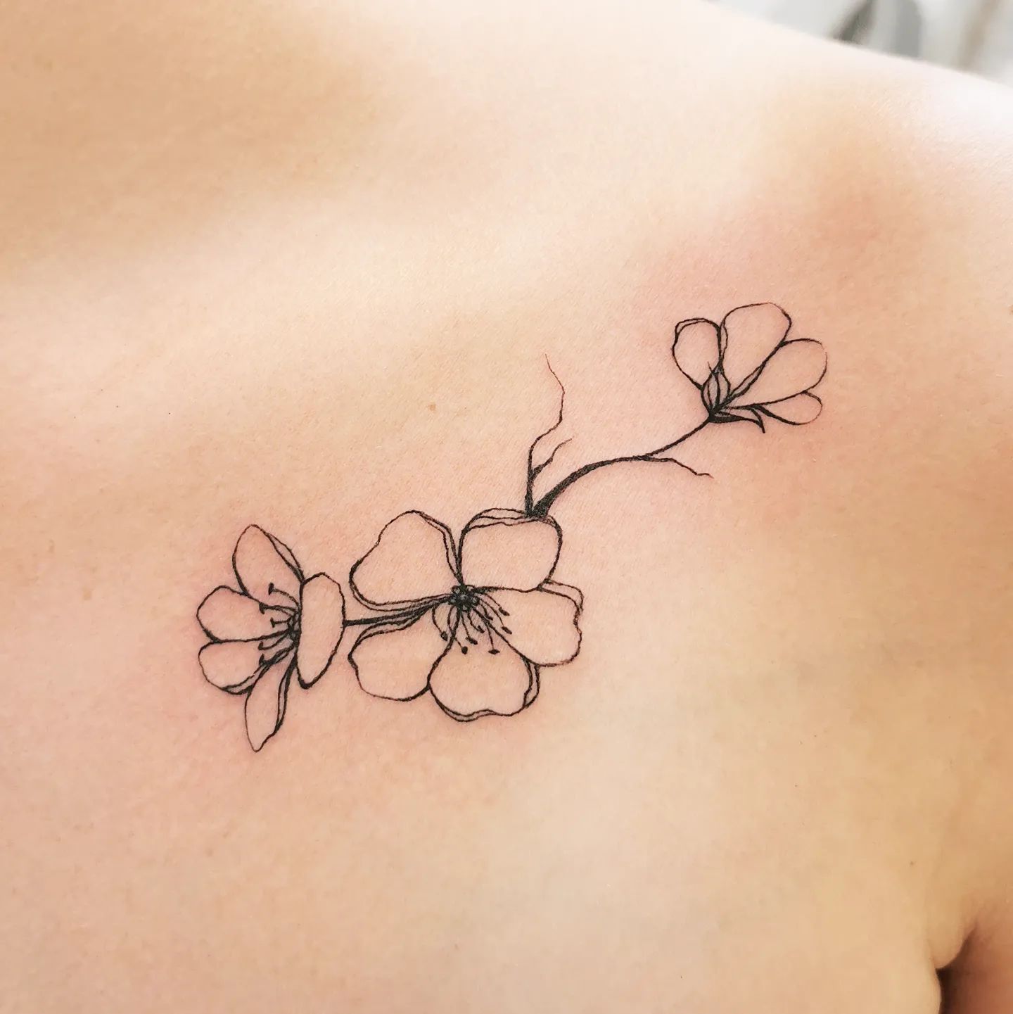 Tatuaje de flor de cerezo tinta negra