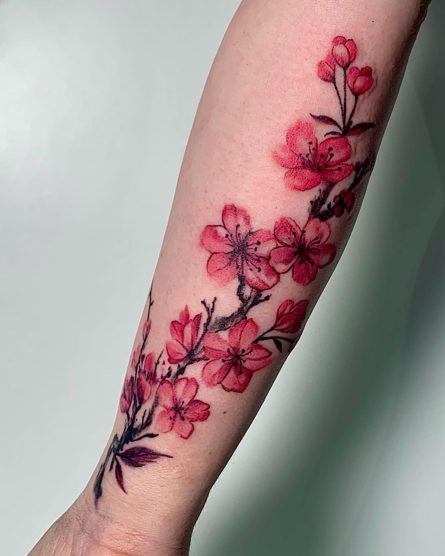 Tatuaje de Flor de Cerezo Tinta Rosa