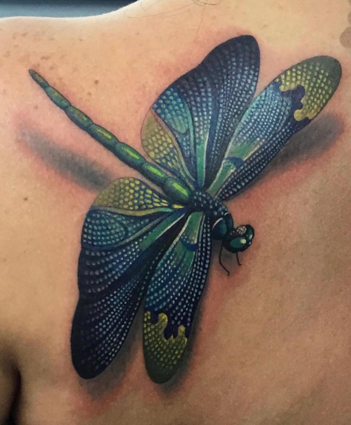 Tatuaje de libélula azul y verde