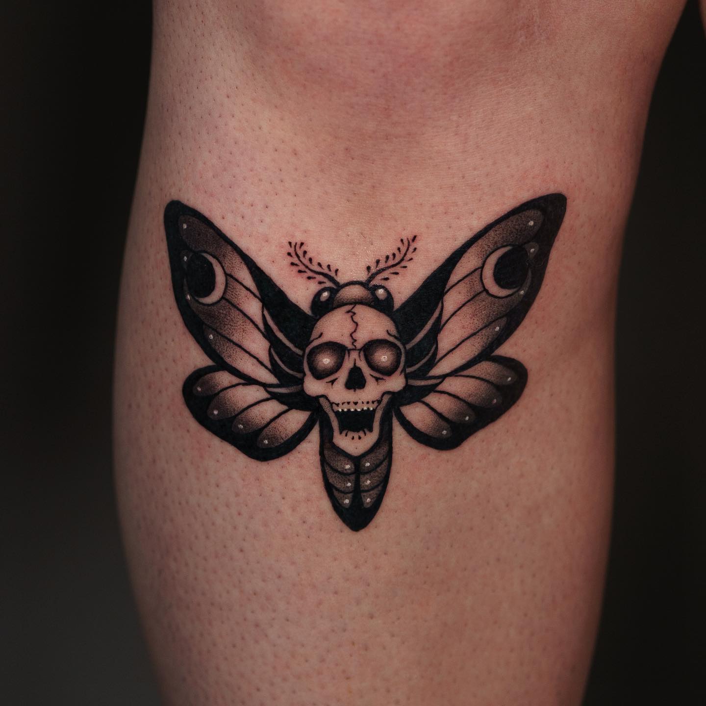 Tatuaje de polilla negra Diseño elegante