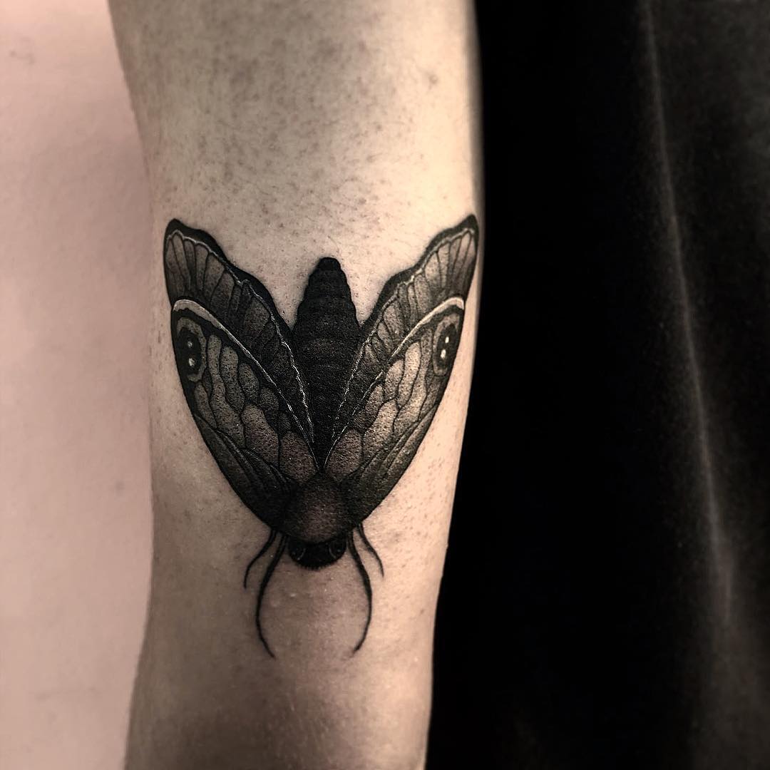 Tatuaje de polilla negra en diseño de brazo.