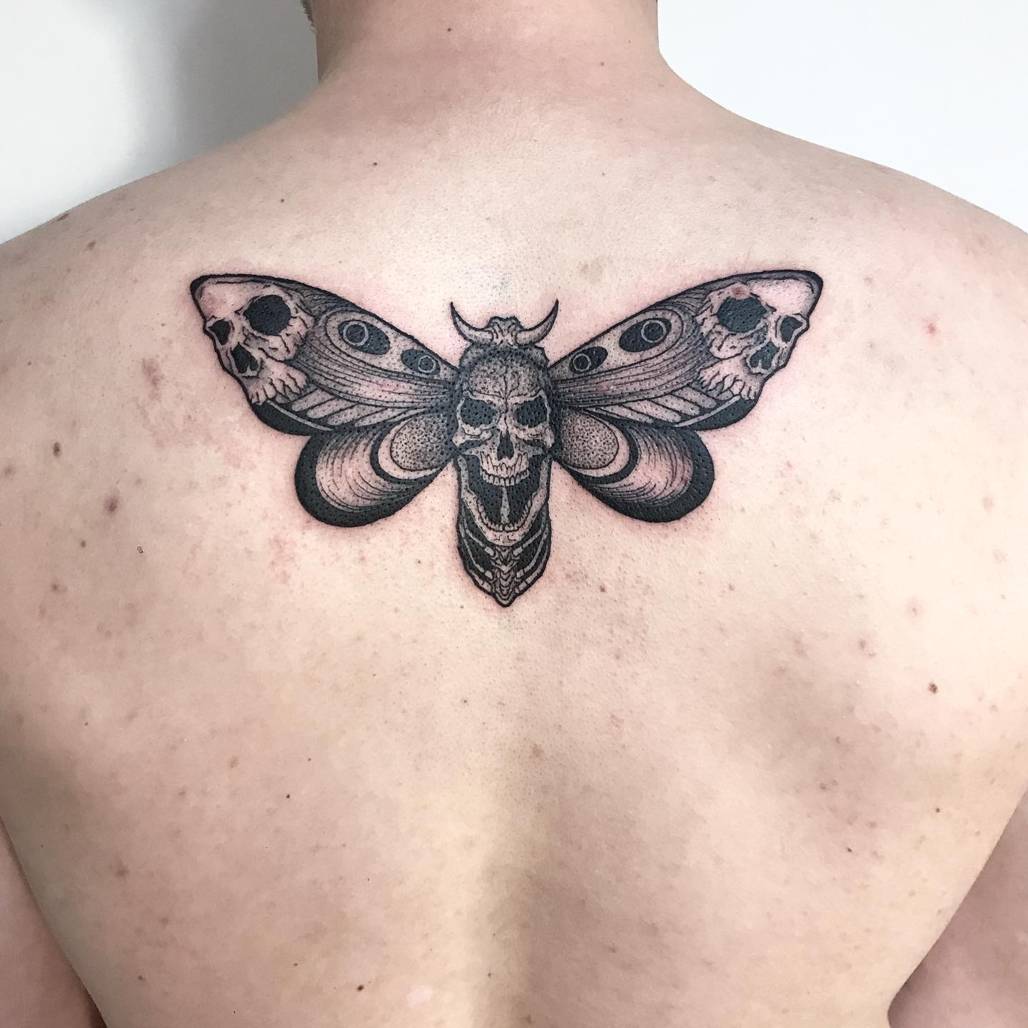 Tatuaje de Polilla Negra en la Espalda
