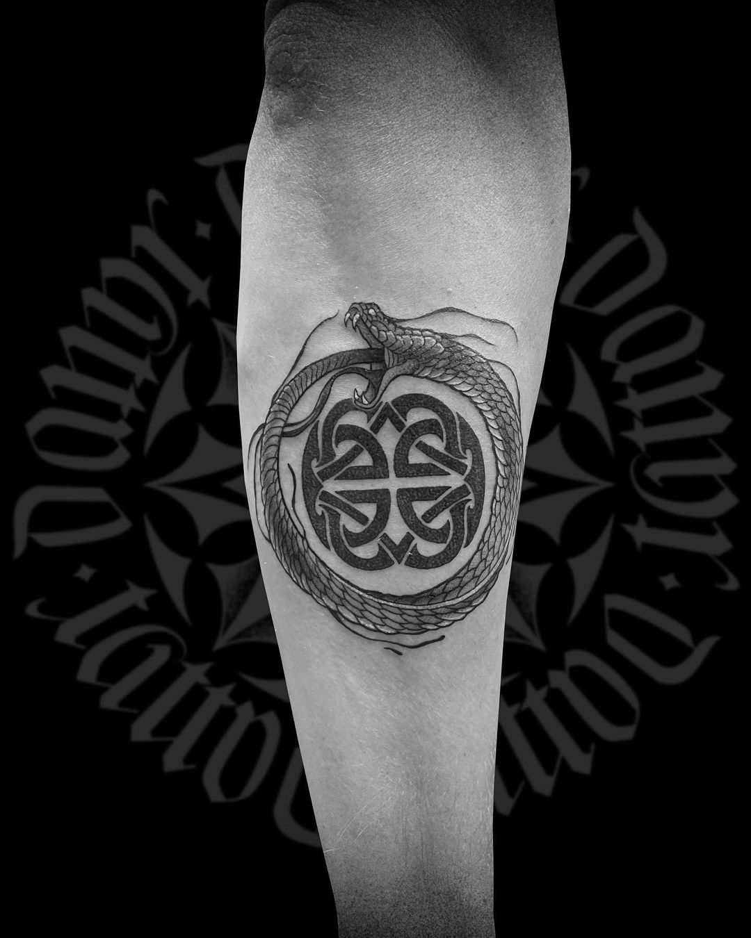 Tinta negra Tatuaje de Ouroboros