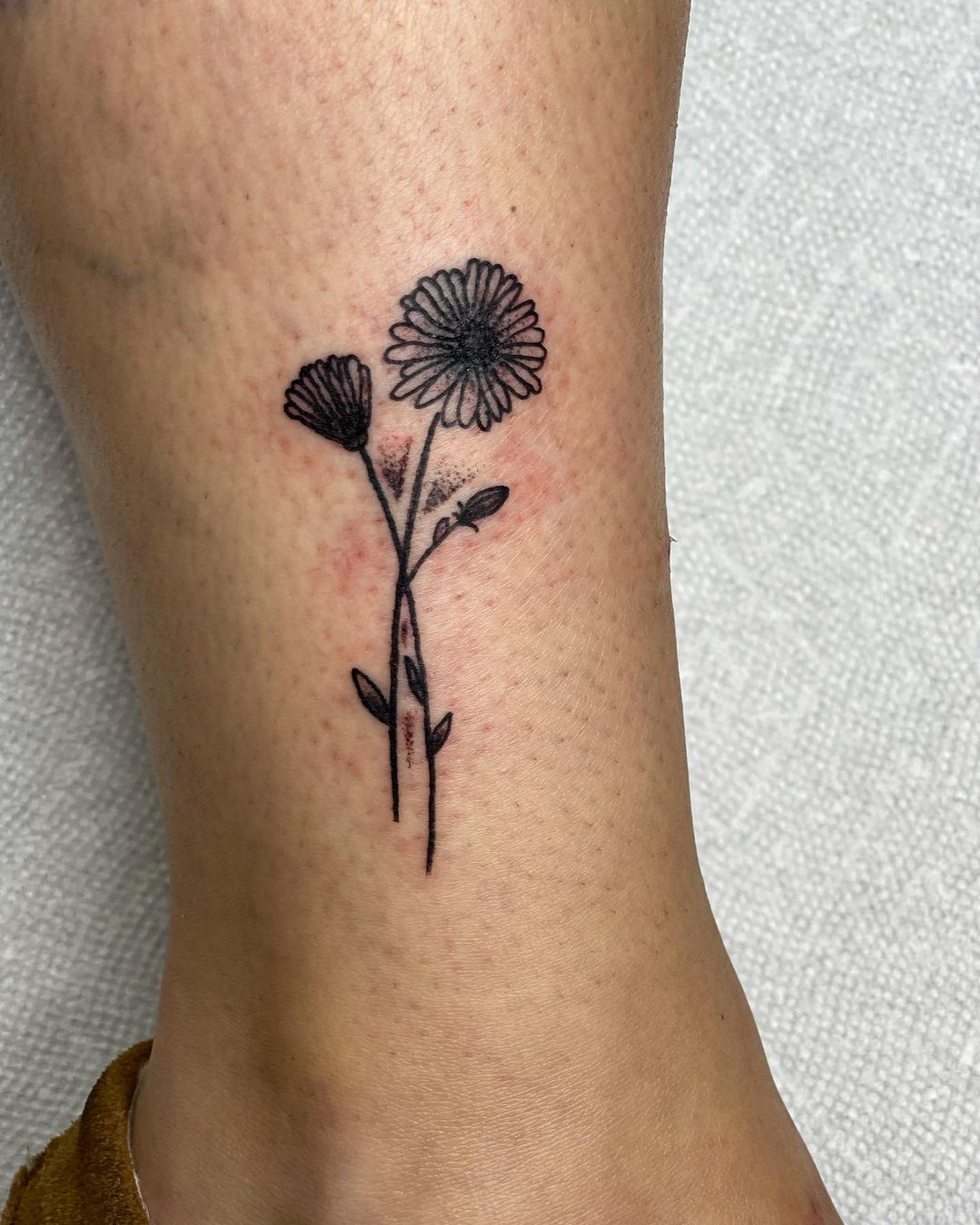 Minimalismo Aster Tatuaje Floral