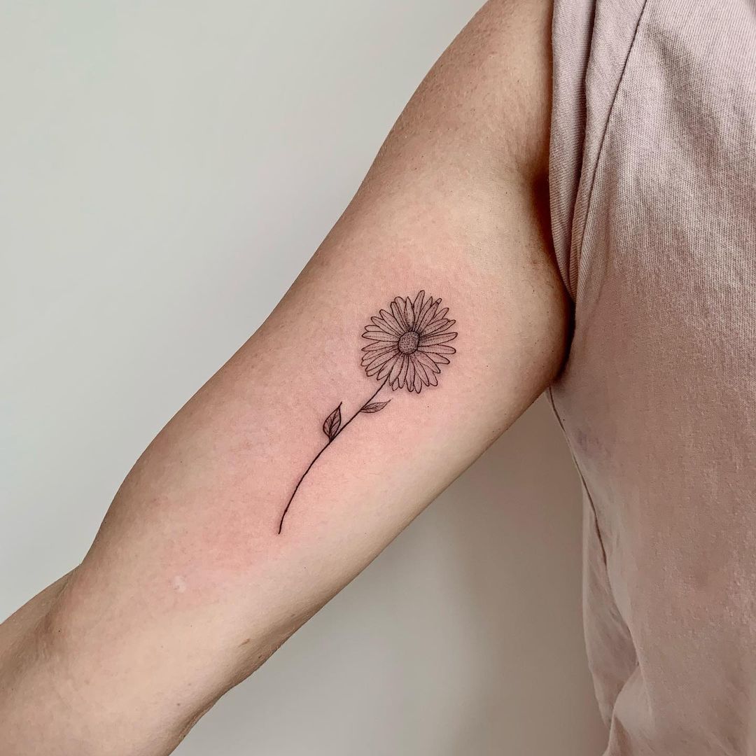 Tatuaje de brazo con flor de aster.