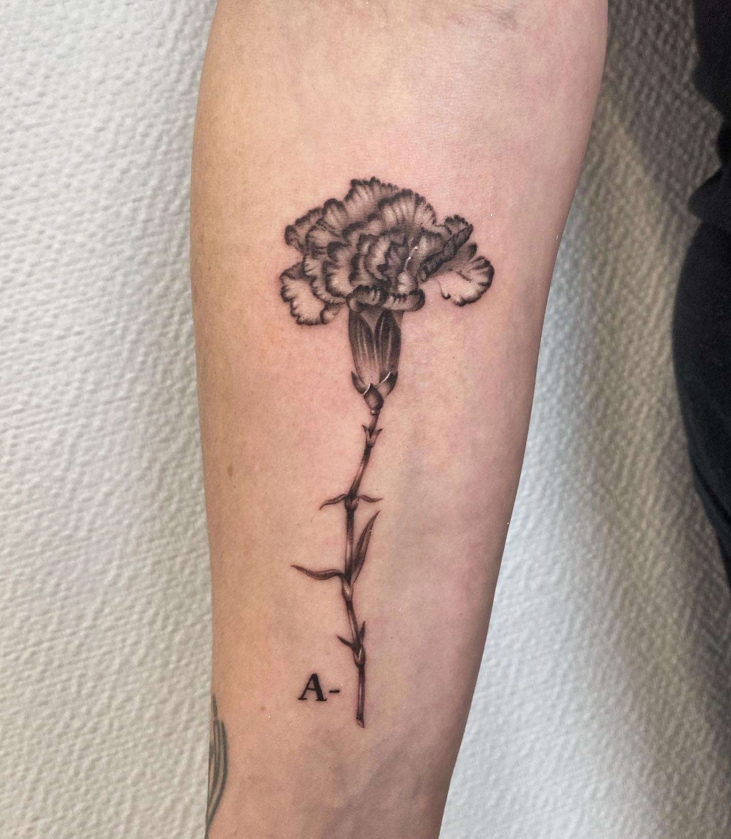 Tatuaje de Flor Carnation Sombreado