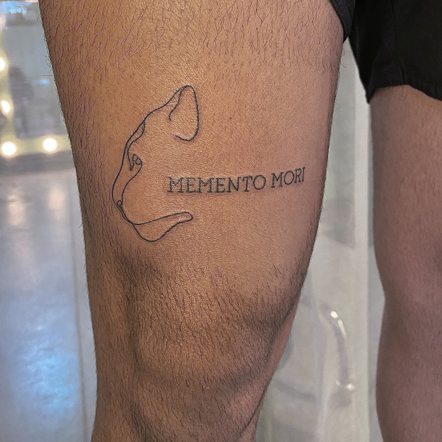 Tatuaje de Pierna y Muslo Frío Memento Mori