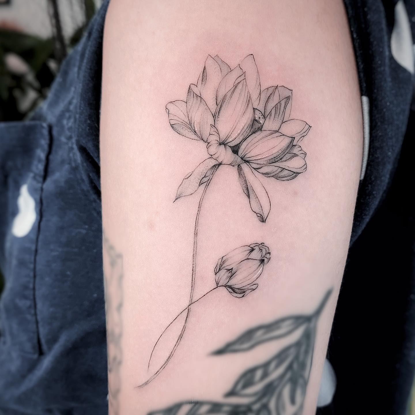 Tatuaje de loto en el hombro femenino