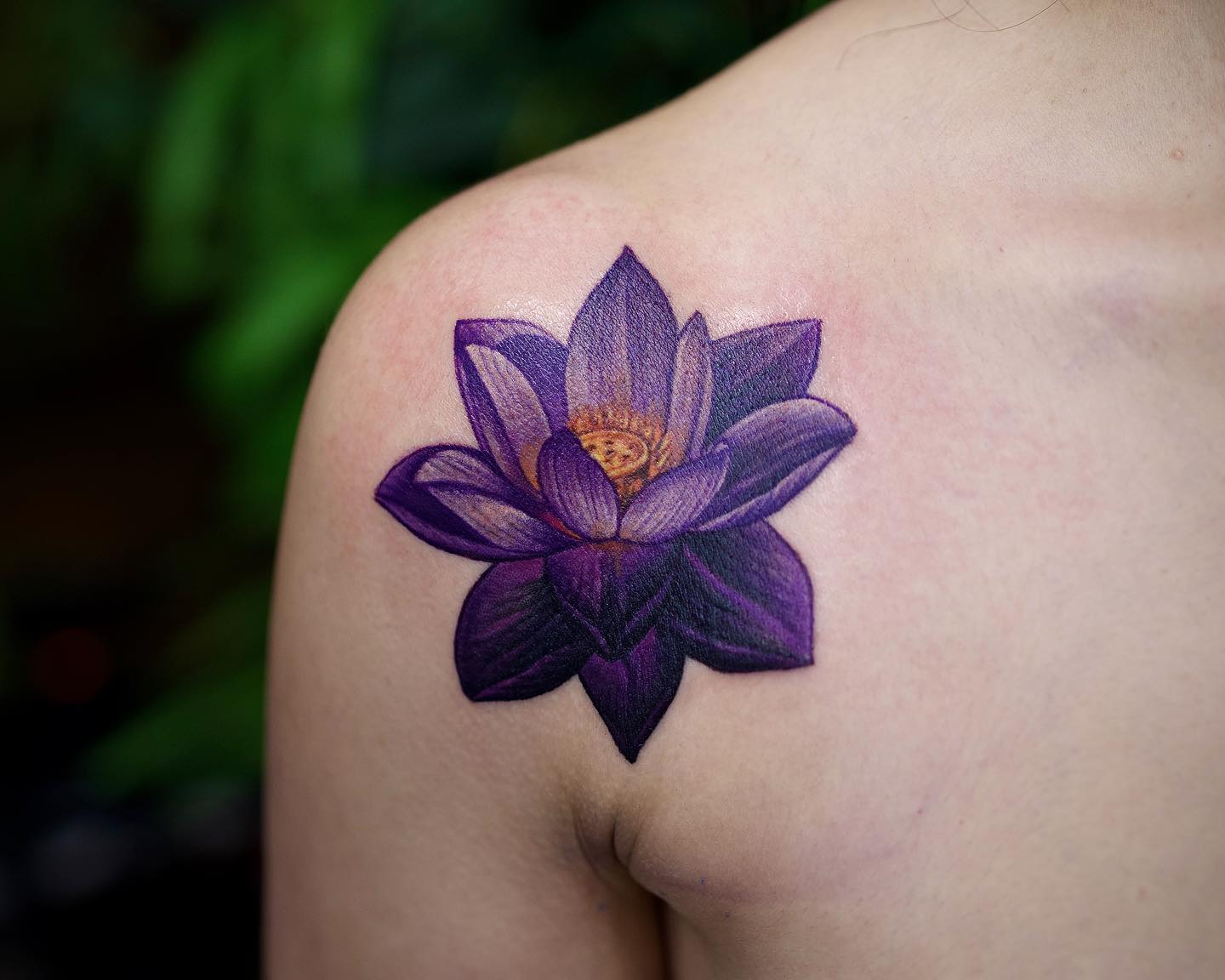 Tatuaje de Loto Púrpura