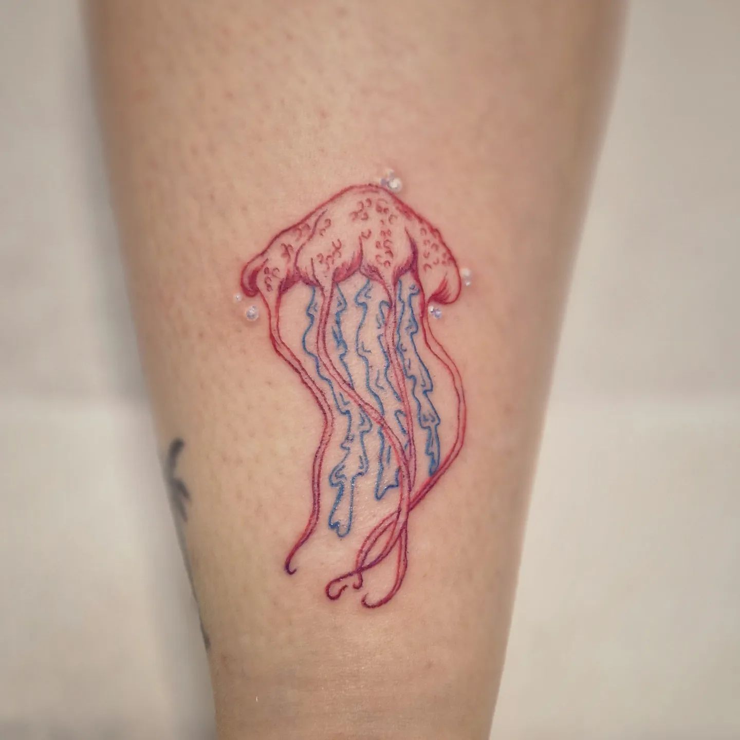 Divertido tatuaje de medusa