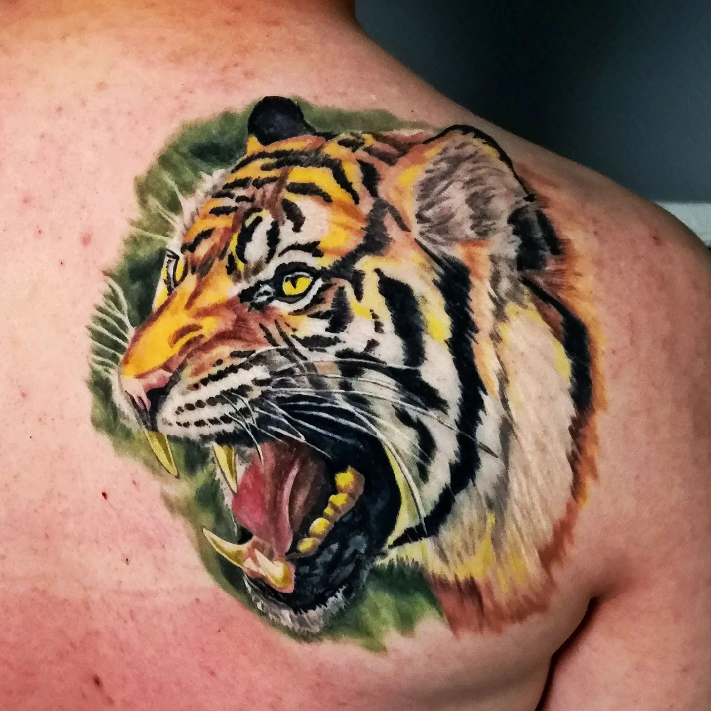 Gran tatuaje de hombro de tigre.