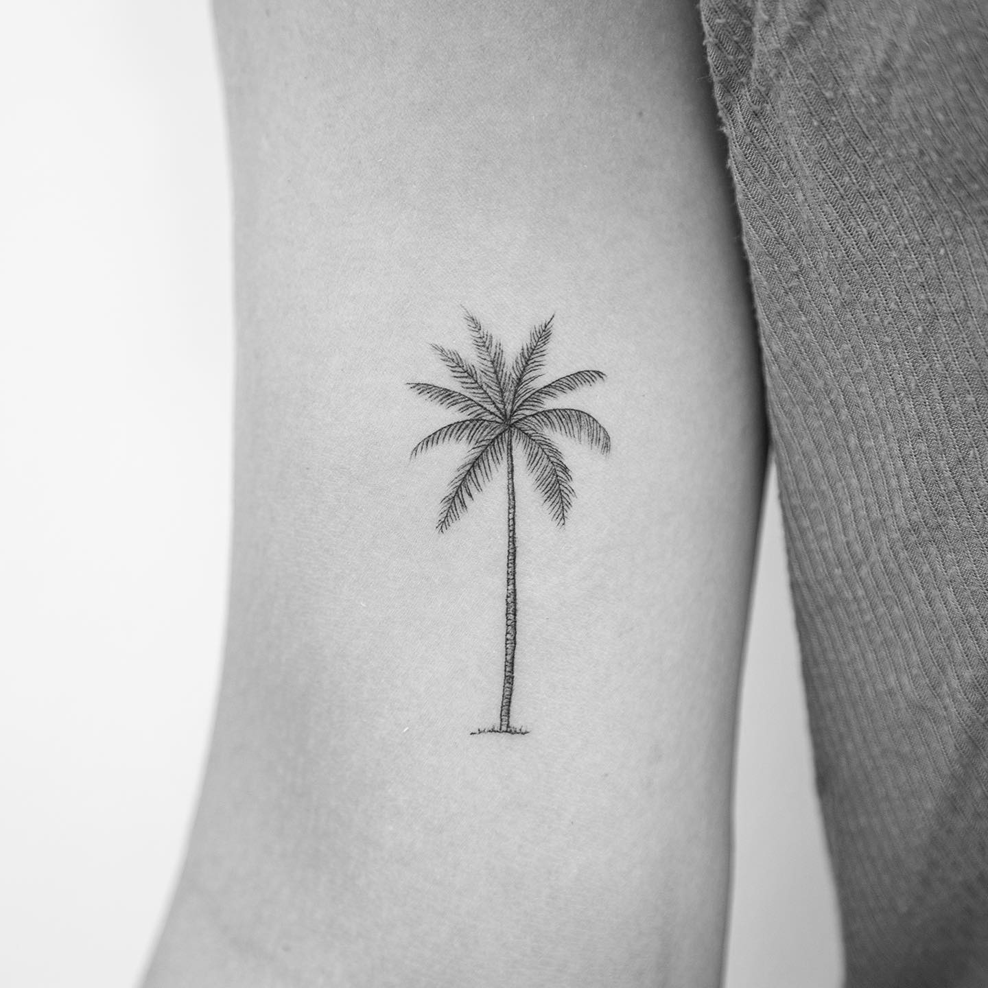 Tatuaje de árbol de palma con puntos