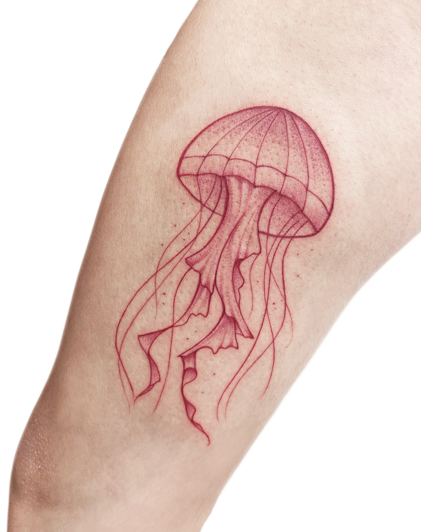 Tatuaje de medusa roja