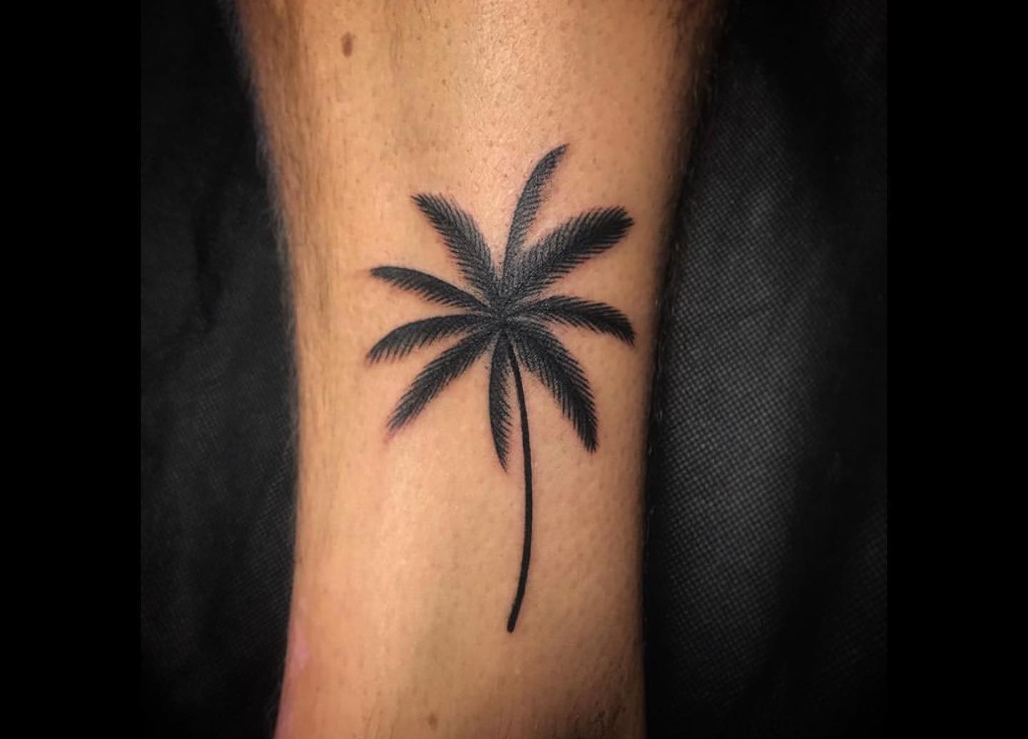 Tatuaje de palmera negra