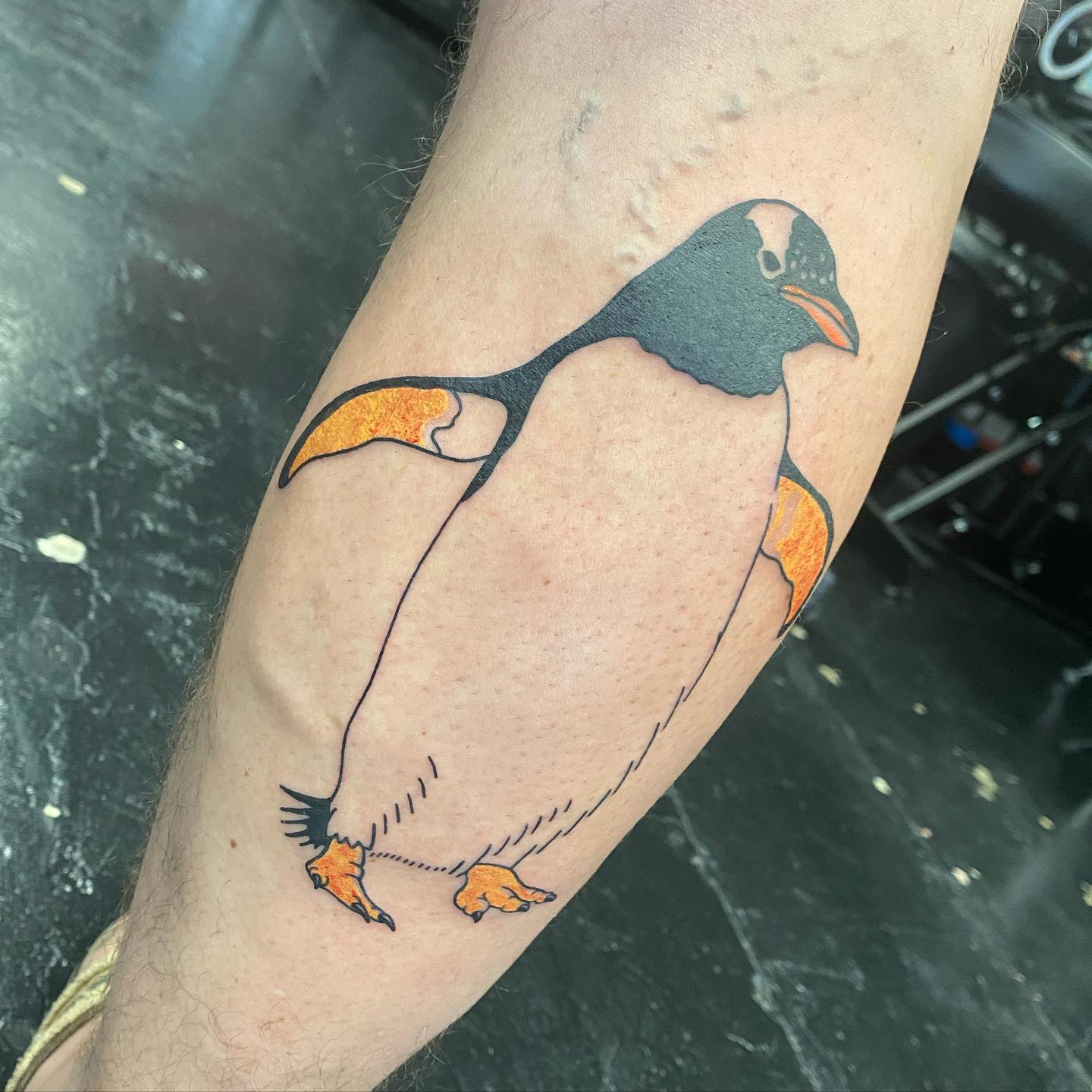 Tatuaje de pingüino de pierna.