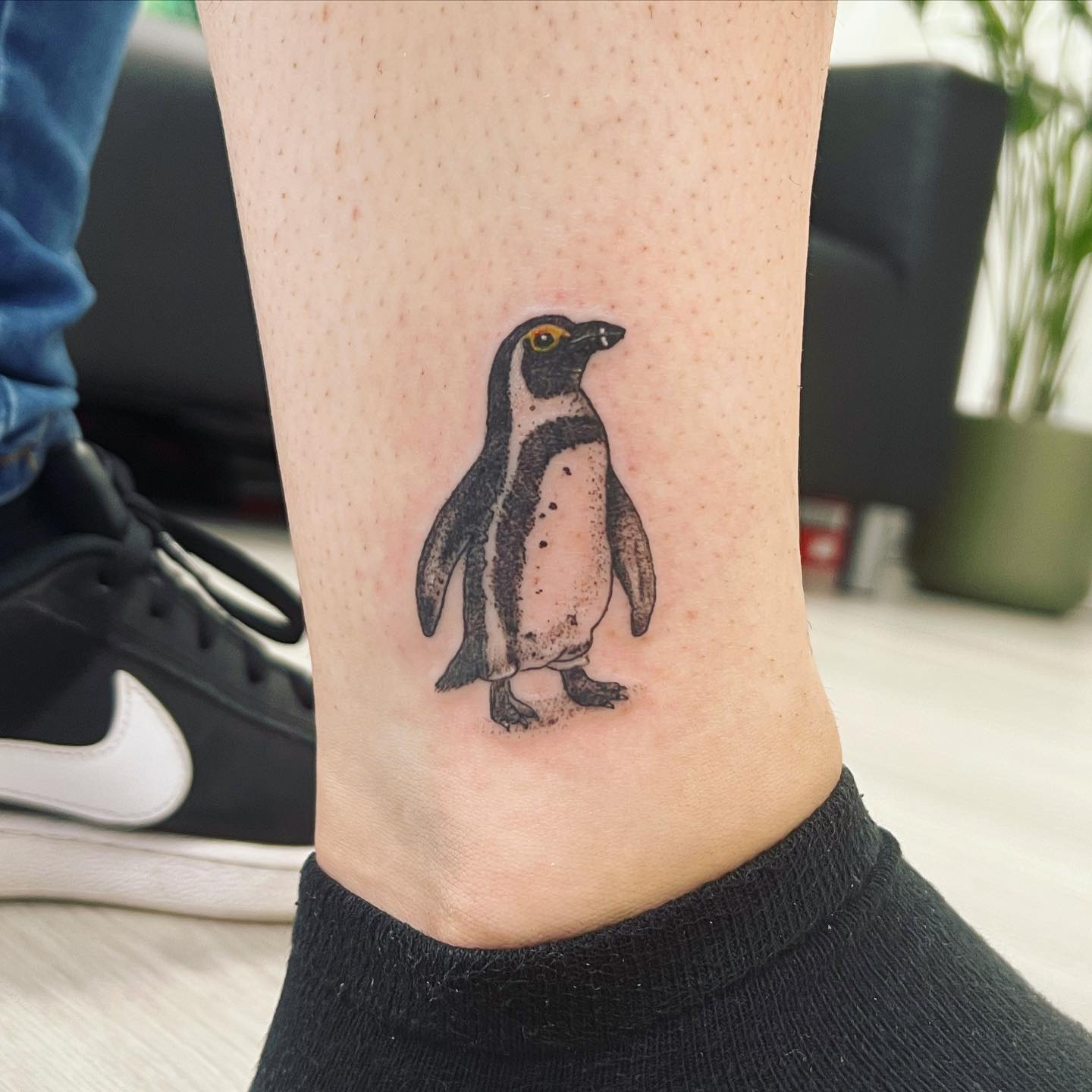 Tatuaje de pingüino en el tobillo