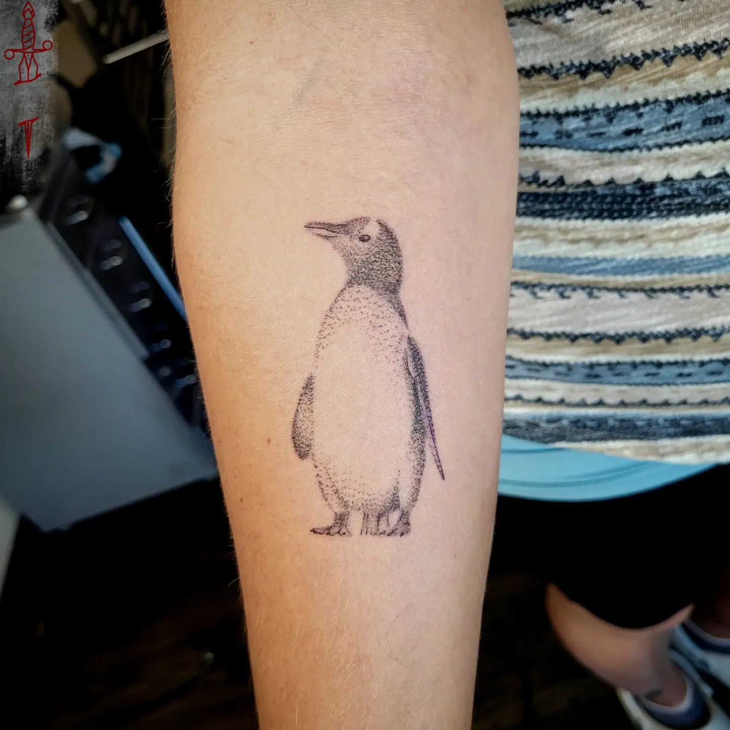 Tatuaje de Pingüino en Técnica de Punteado