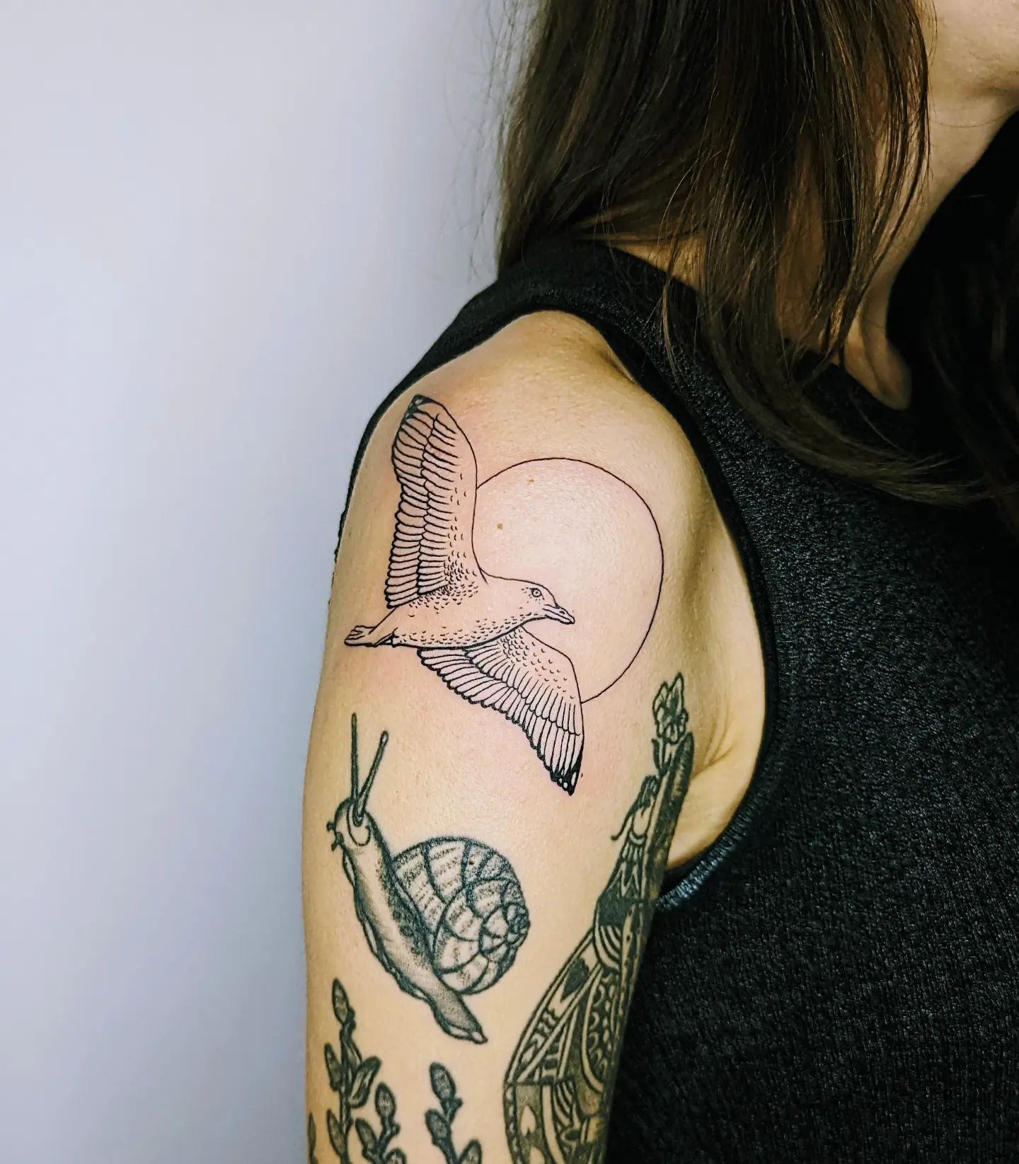 Tatuaje de remiendo de gaviota y caracol.