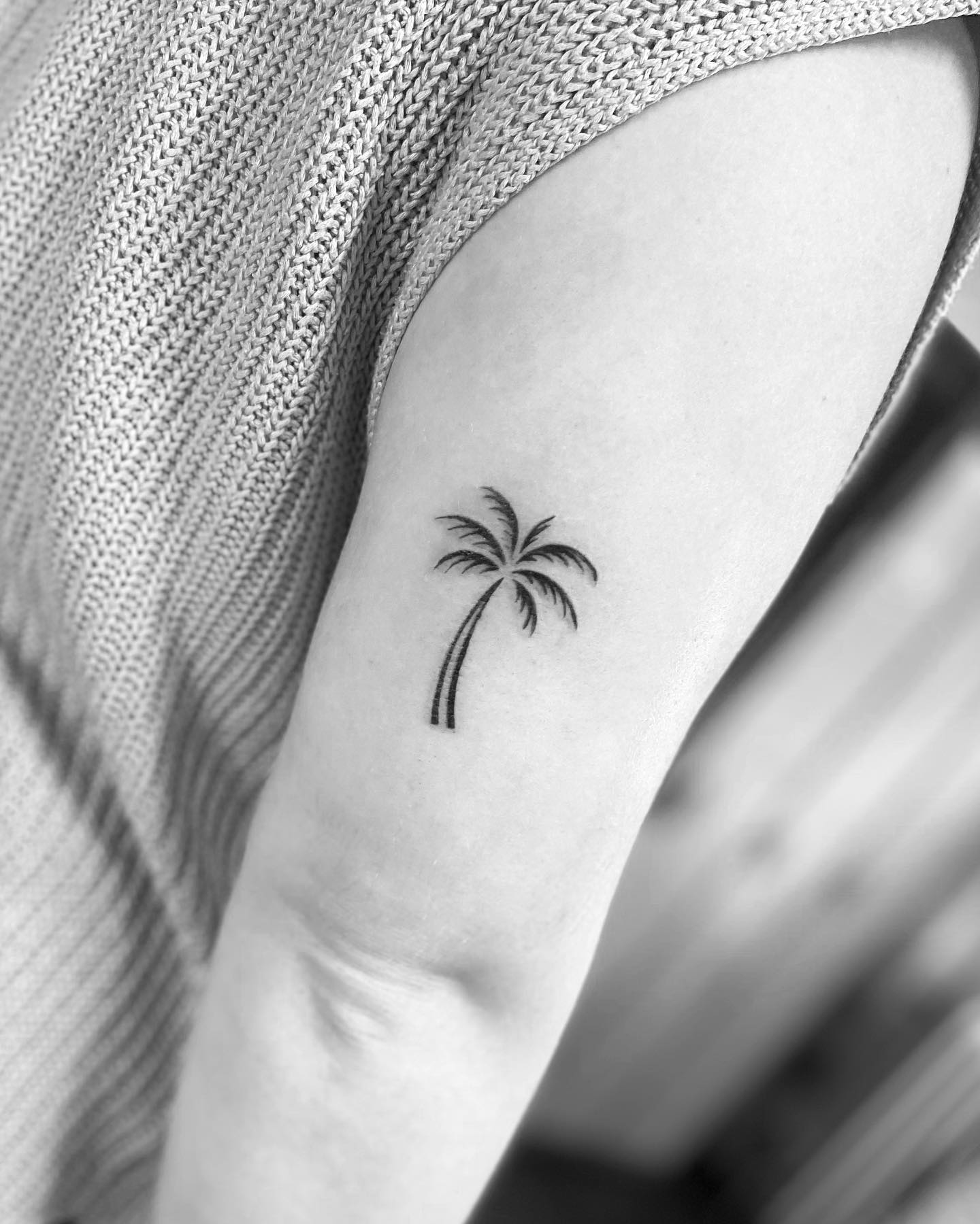 Tatuaje minimalista de palmera en el brazo
