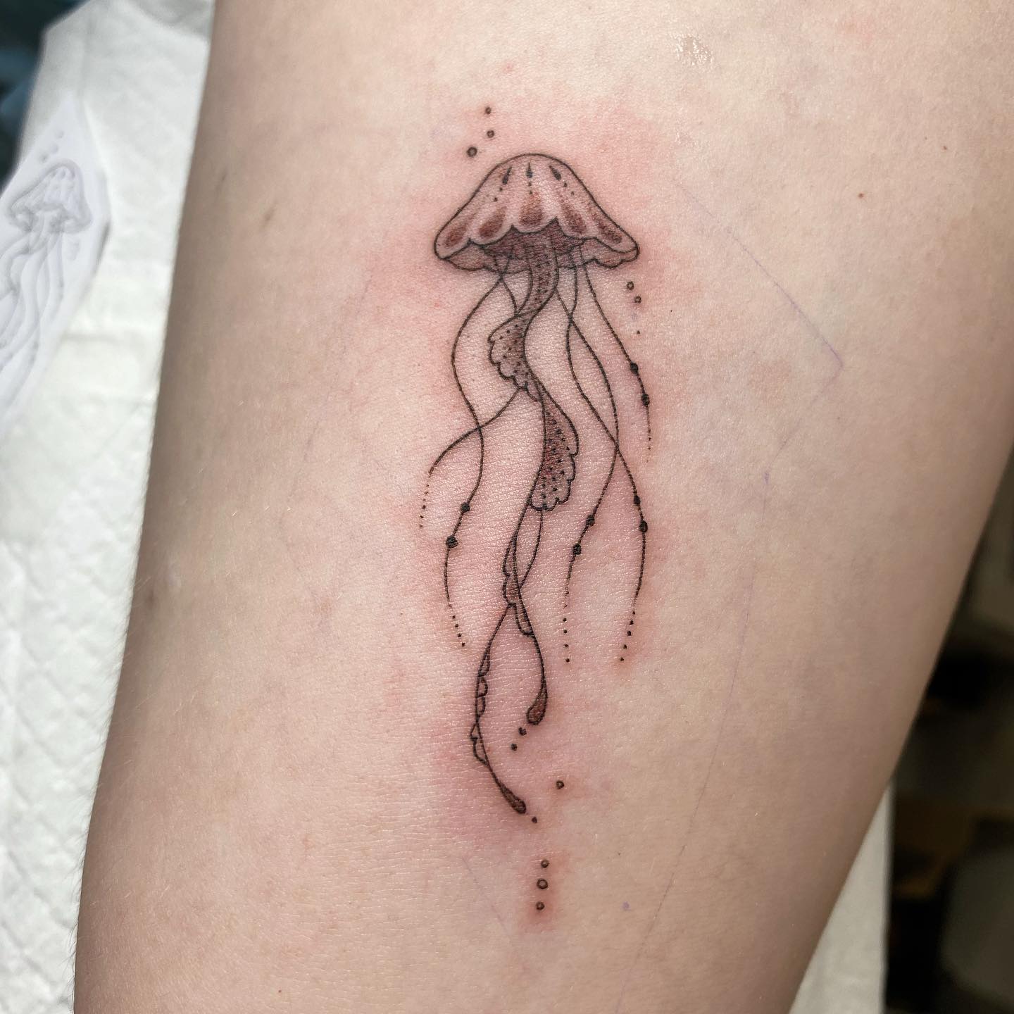 Tatuaje simple de medusa.
