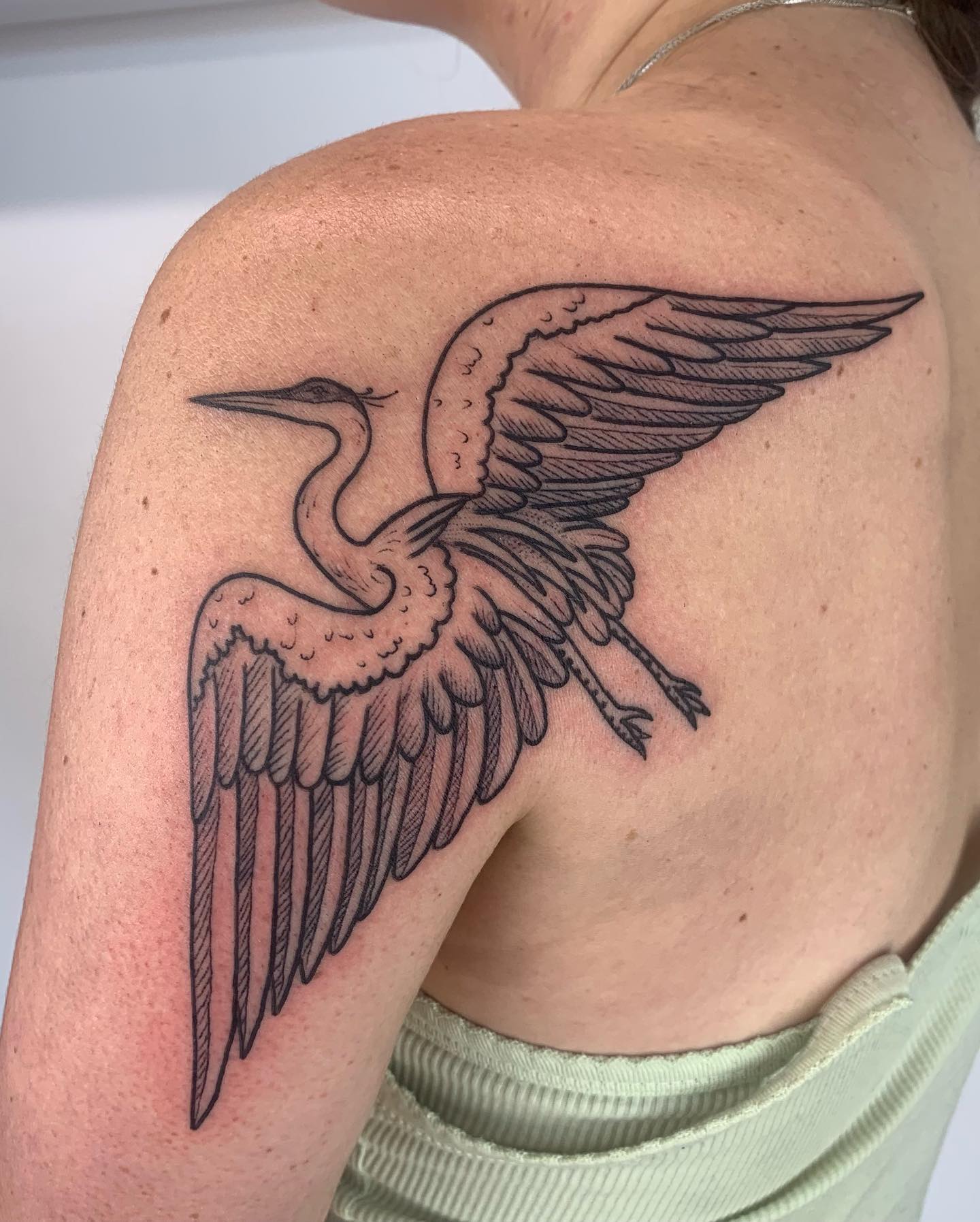 Diseño de tatuaje de ala de pájaro