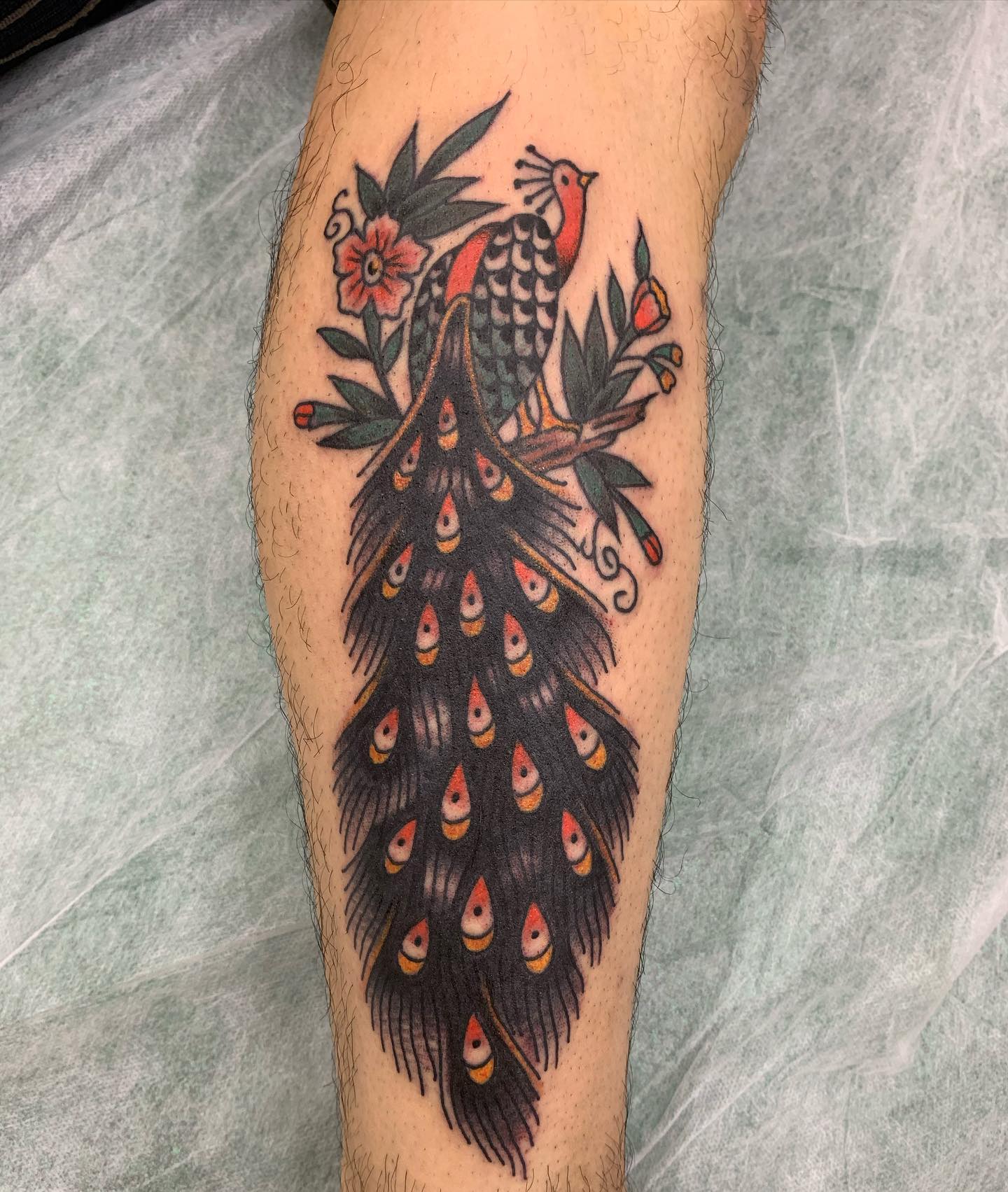 Pluma de pavo real Tatuaje tradicional americano