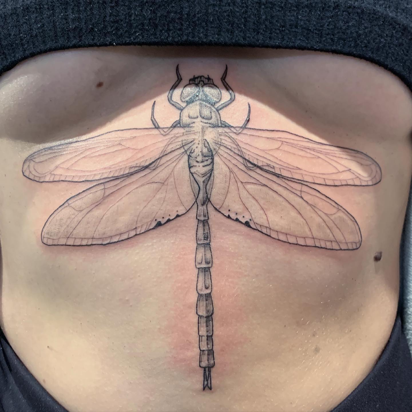 Tatuaje simple de libélula