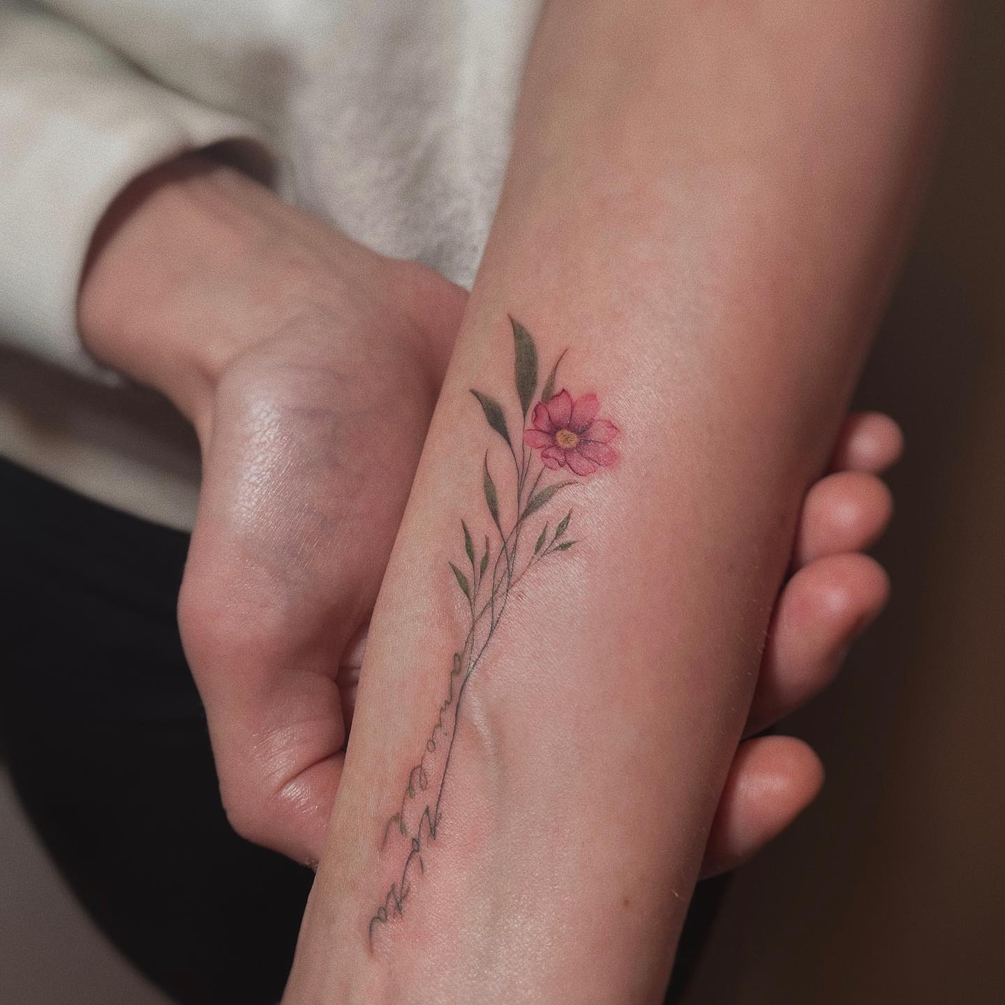 Diseños de tatuajes de flor de cosmos en el brazo.