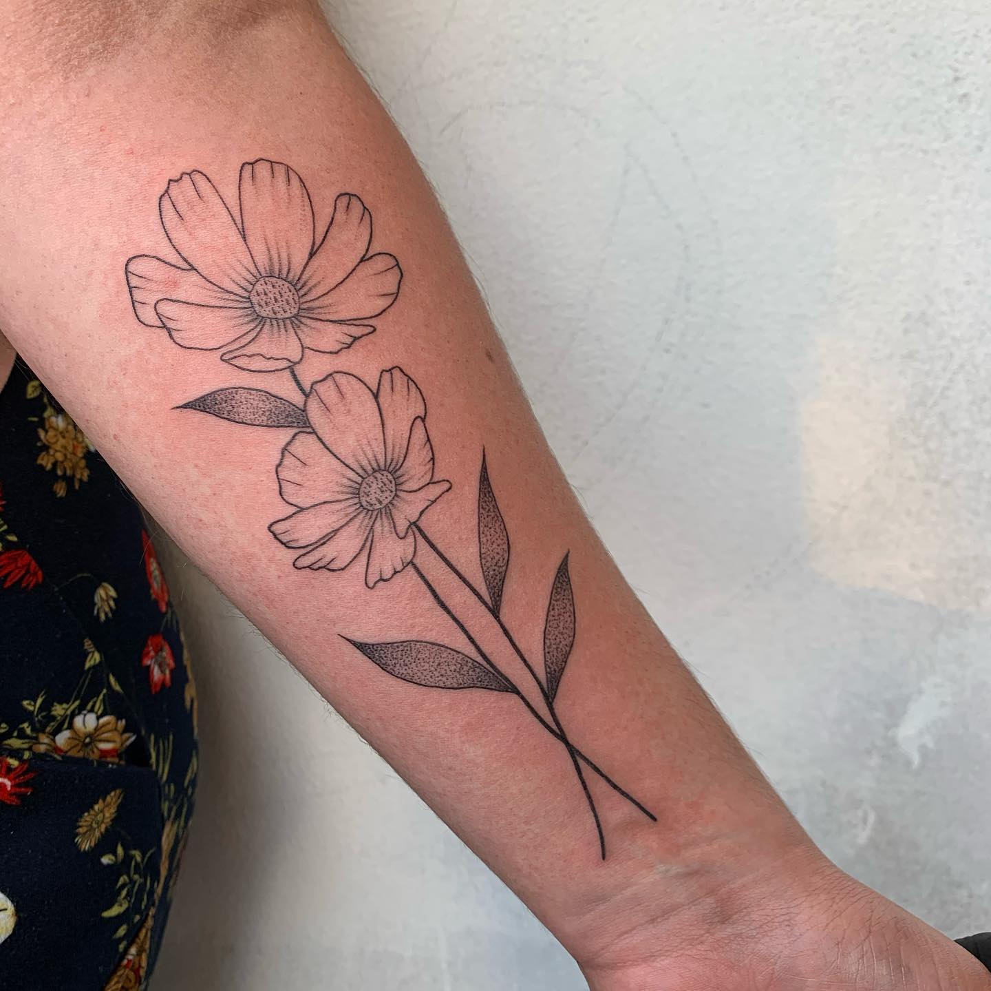 Tatuaje de Flor Cosmos en Blanco y Negro