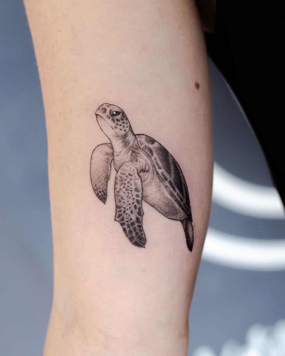 Tatuaje de tortuga marina en técnica de puntos