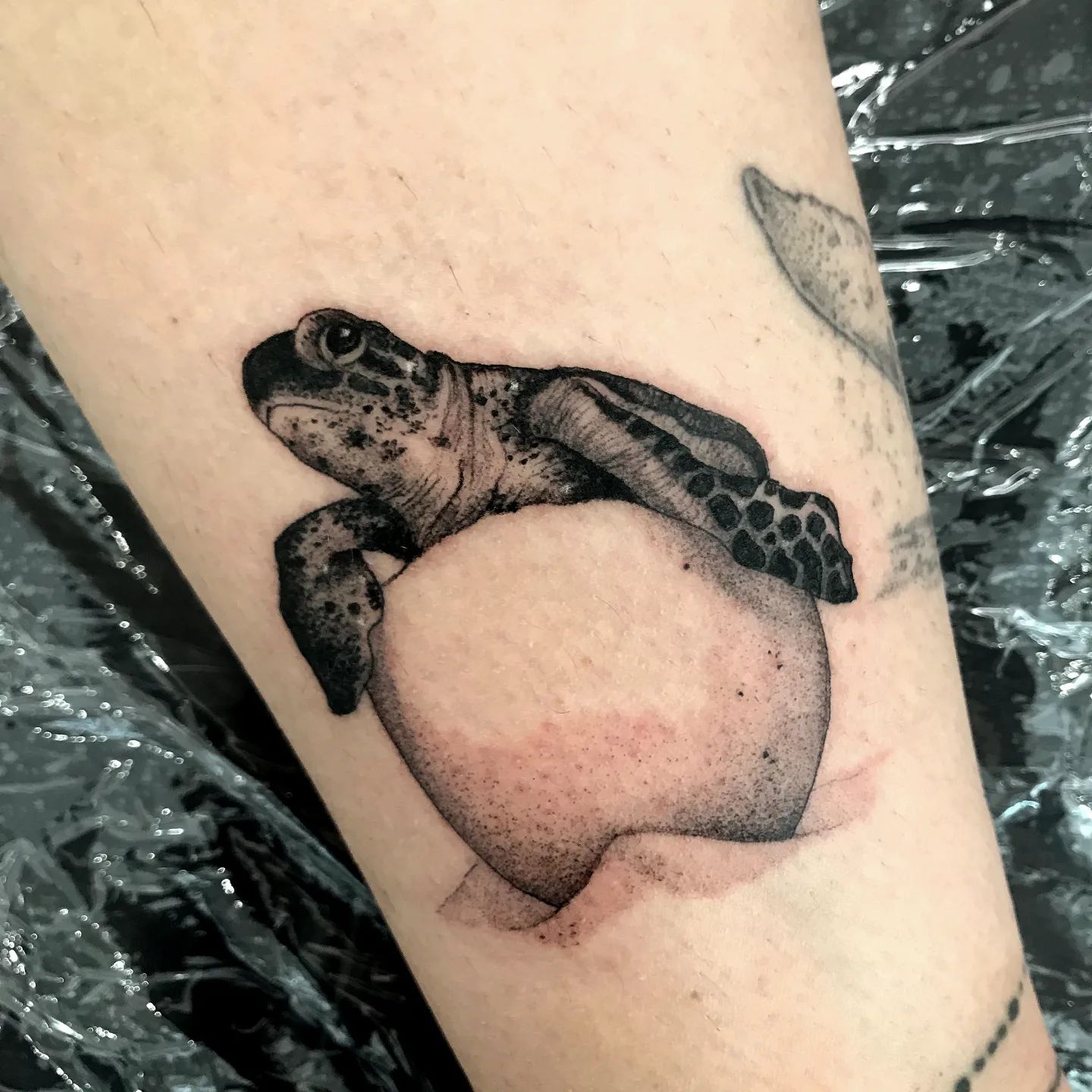 Tatuaje de tortuga marina para bebé con técnica de puntos