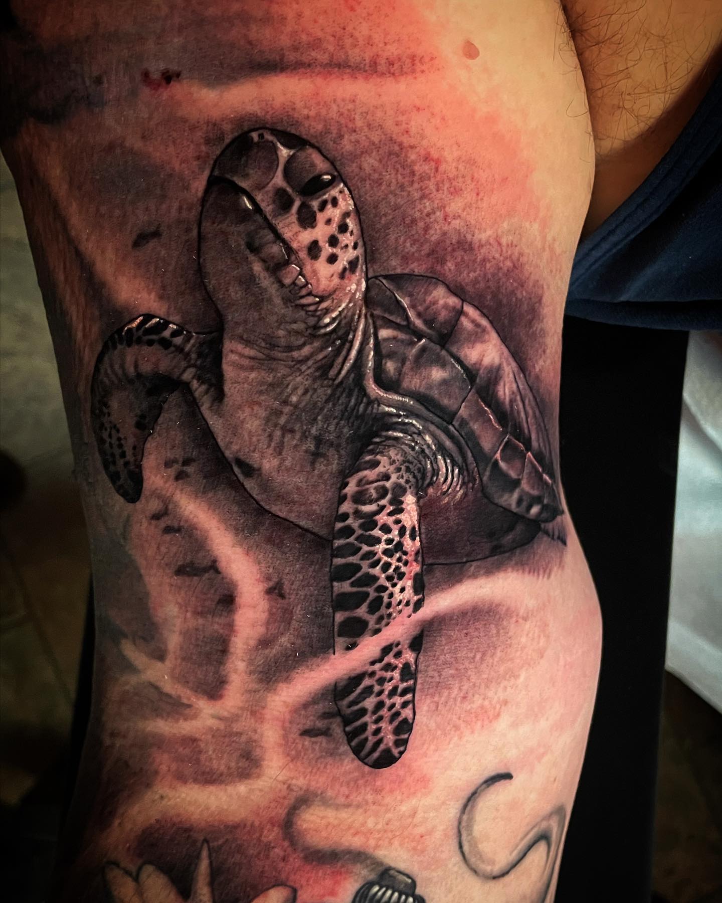 Tatuaje de tortuga marina sombreada