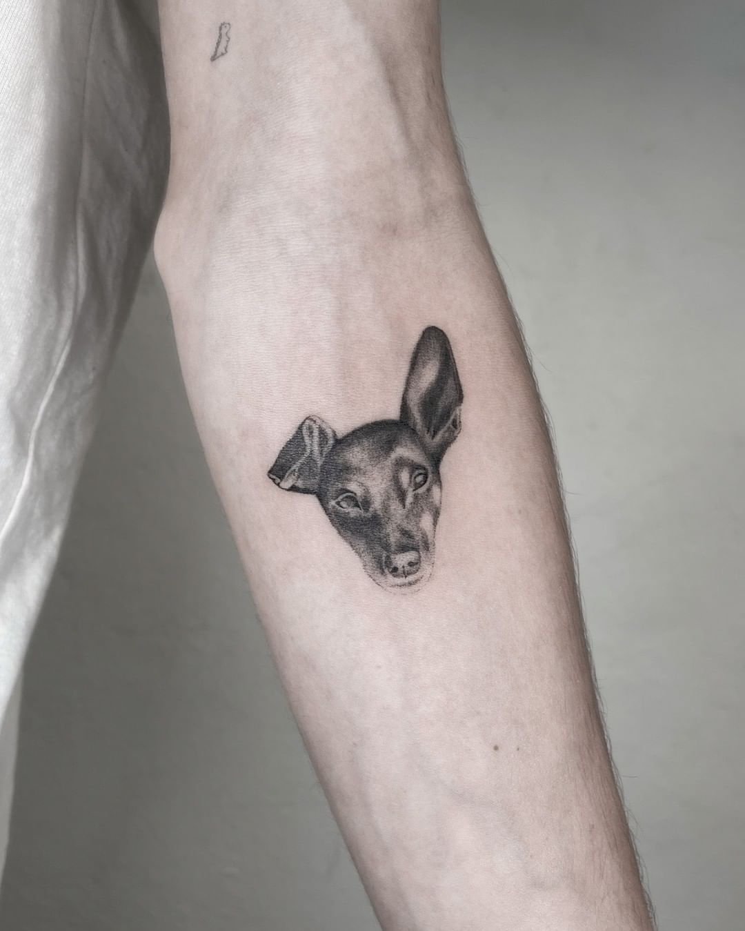 Tatuaje de Perro Pequeño
