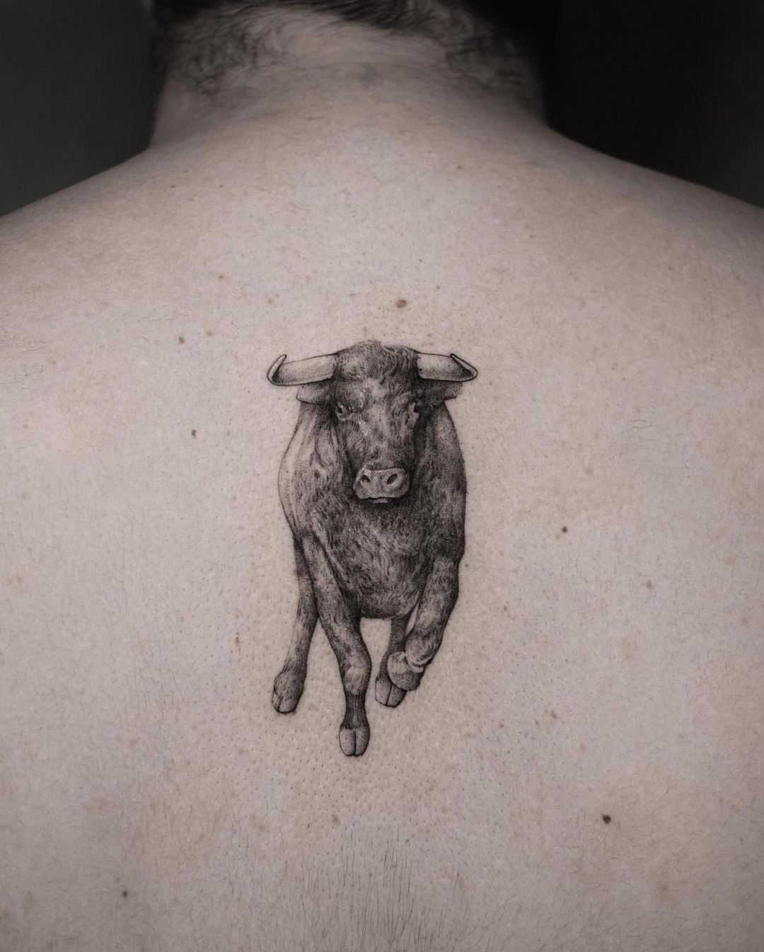 Tatuaje de Toro Pequeño para Hombres
