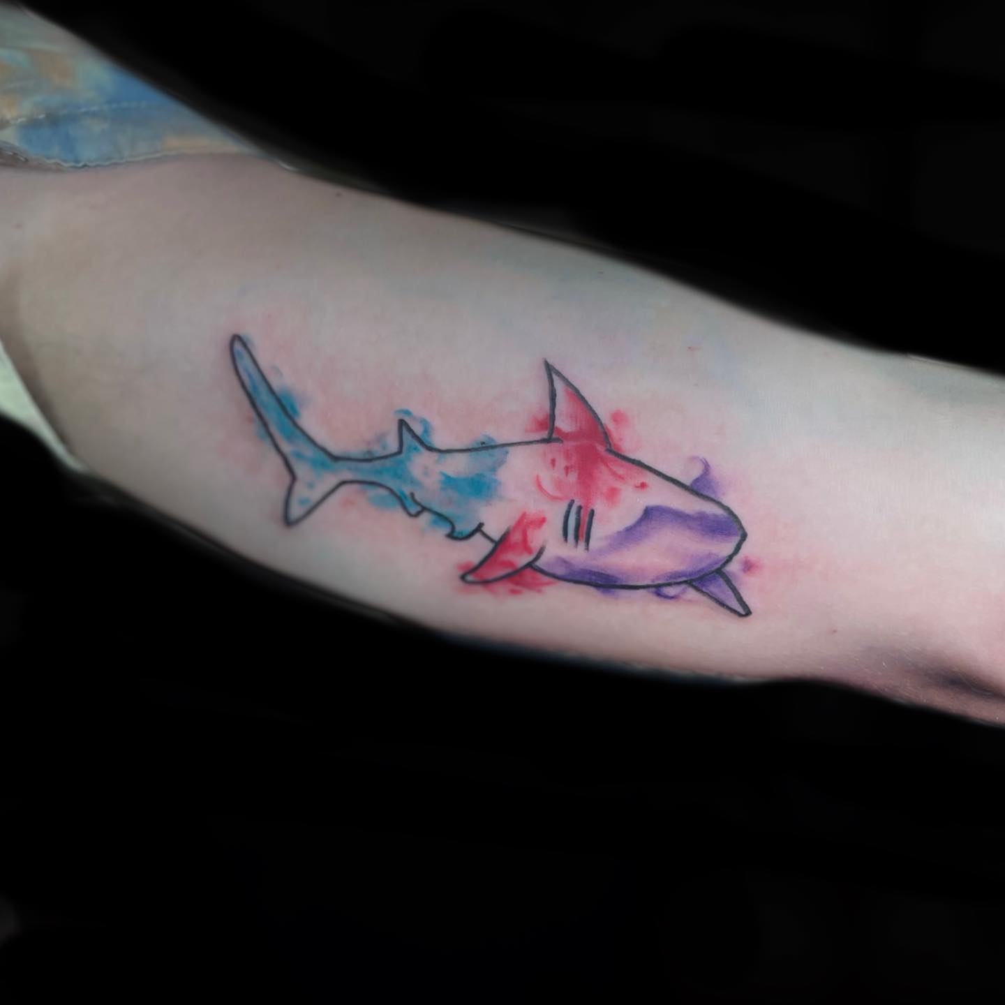 Diseño de tatuaje de tiburón en bíceps.