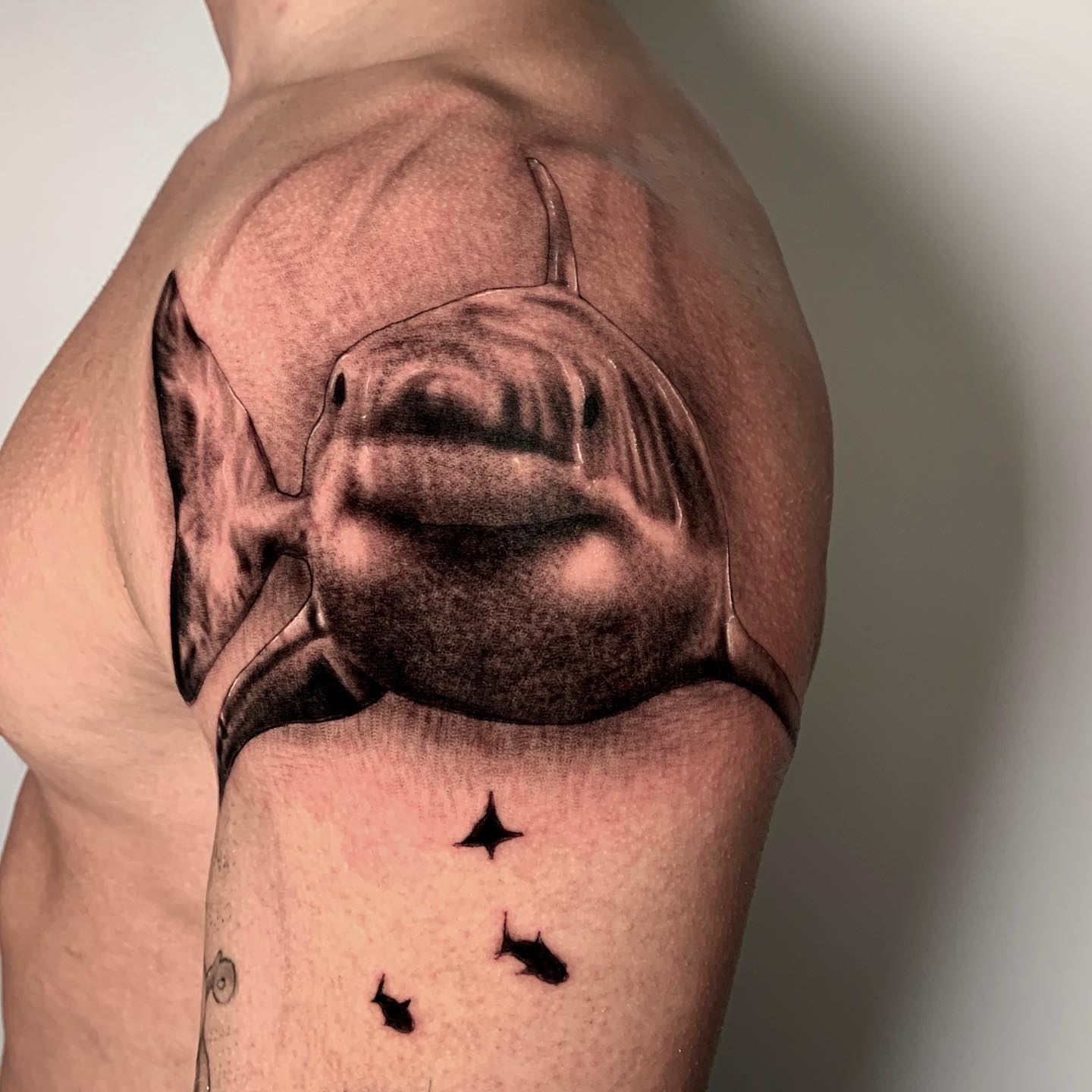 Diseño de tatuaje de Tiburón en el antebrazo