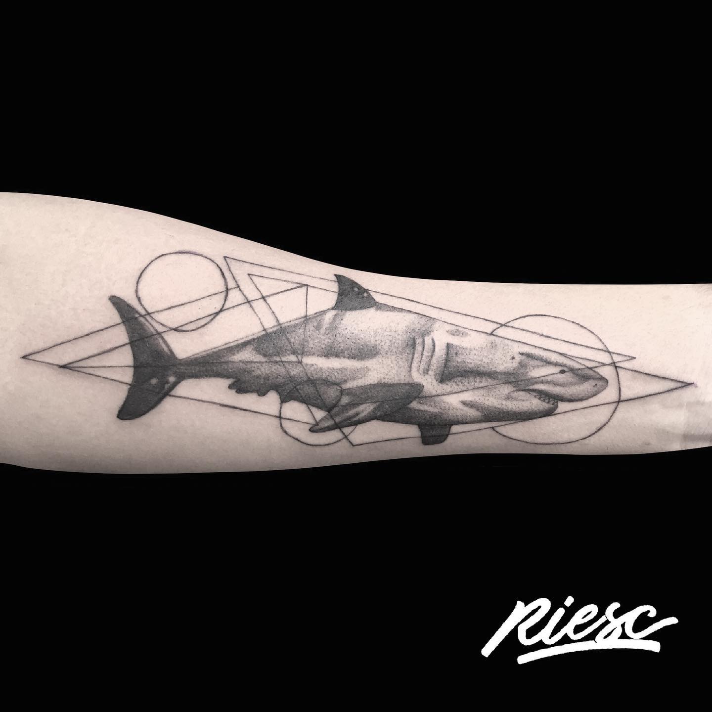 Tatuaje de Tiburón de Estómago Pequeño
