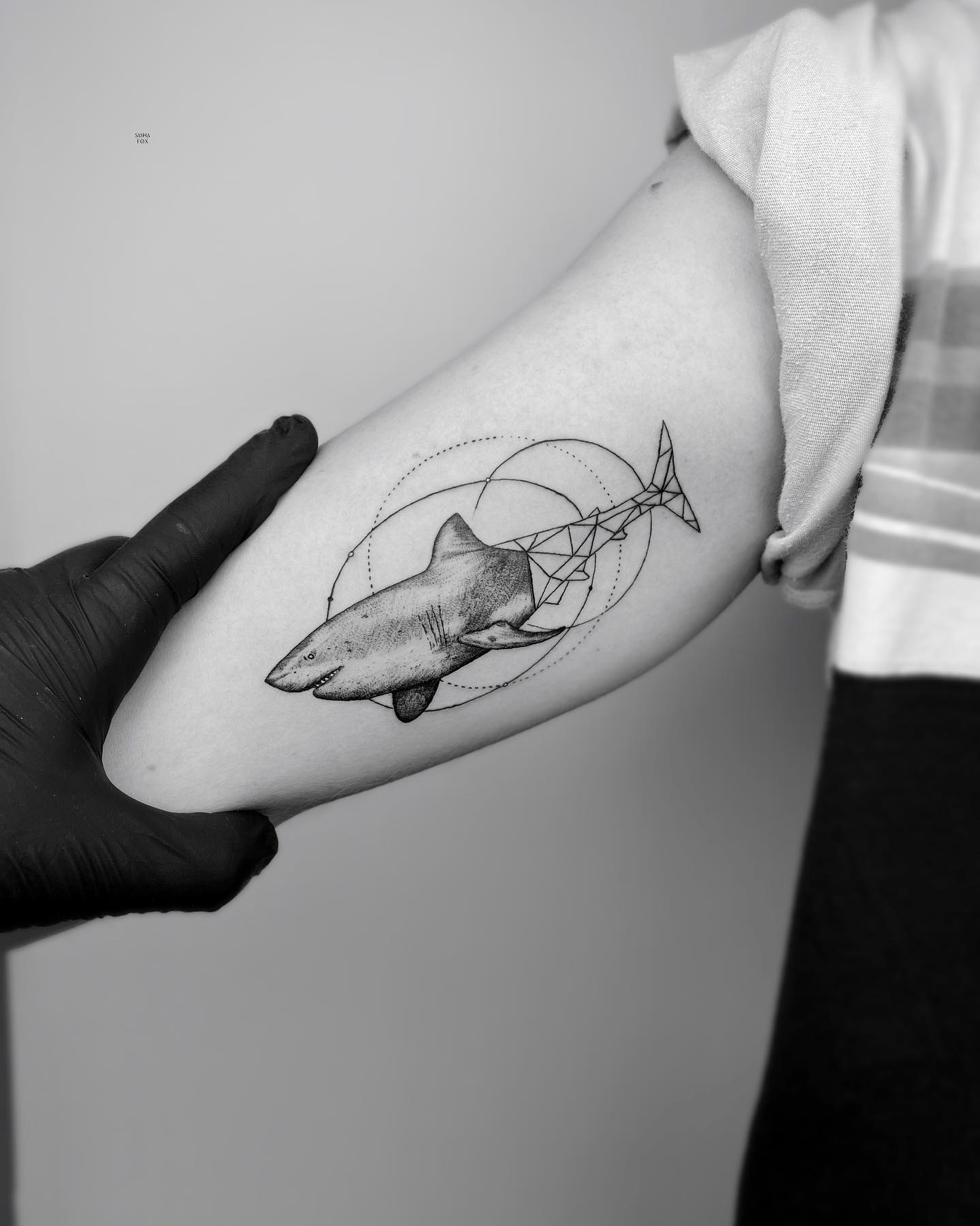 Tatuaje de Tiburón de Hombro para Chicos.