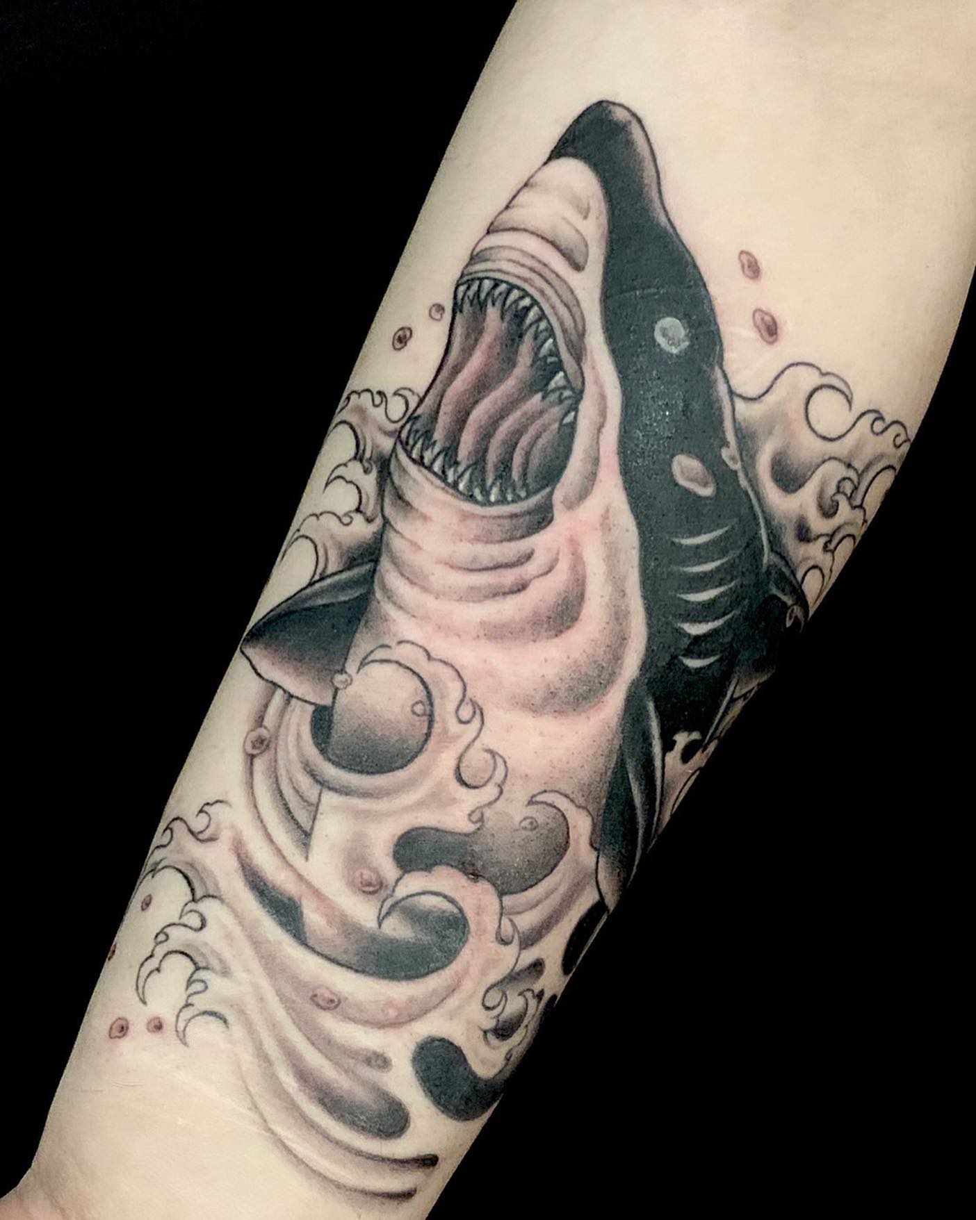 Tatuaje de Tiburón de Tinta Negra