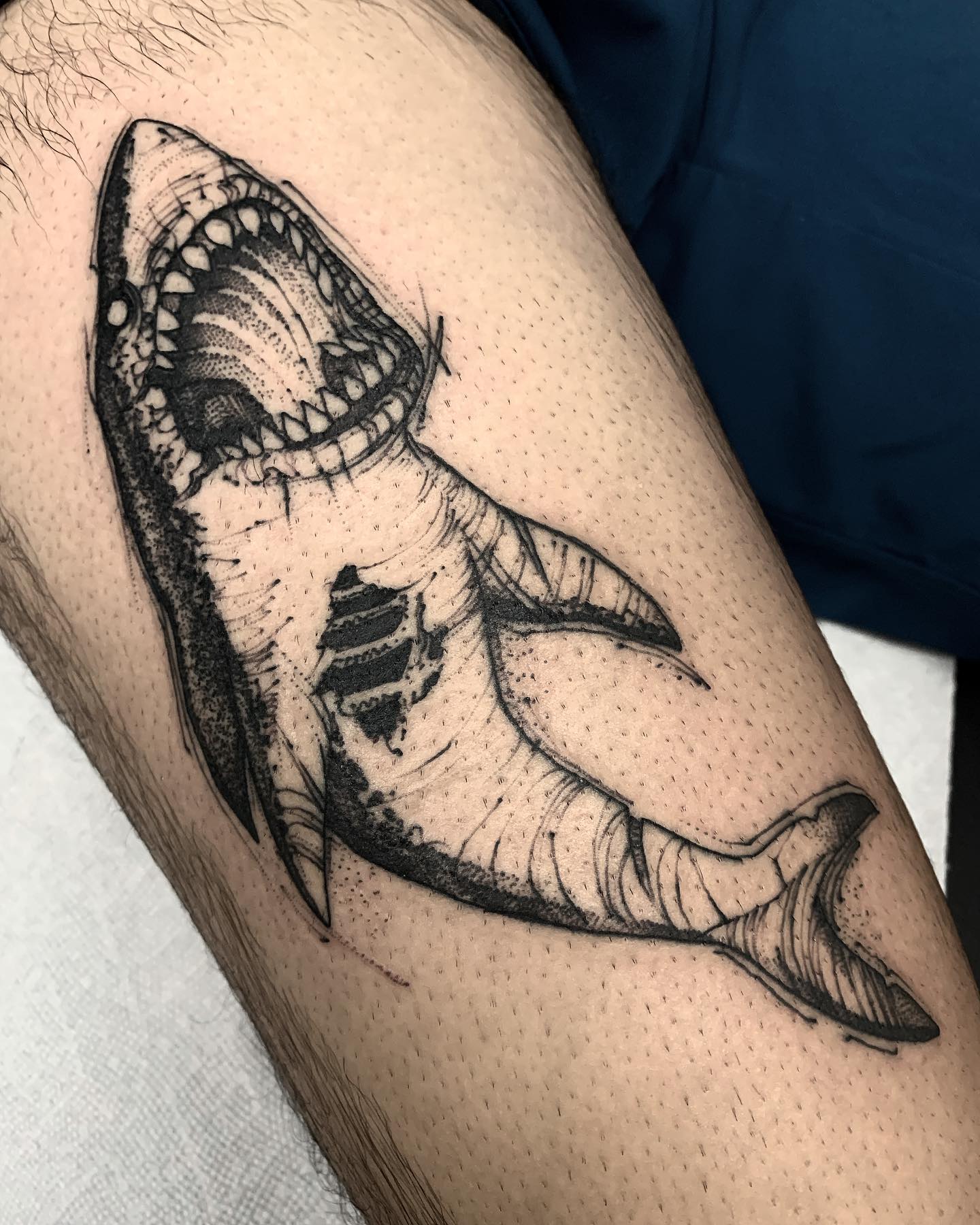 Tatuaje de tiburón pequeño